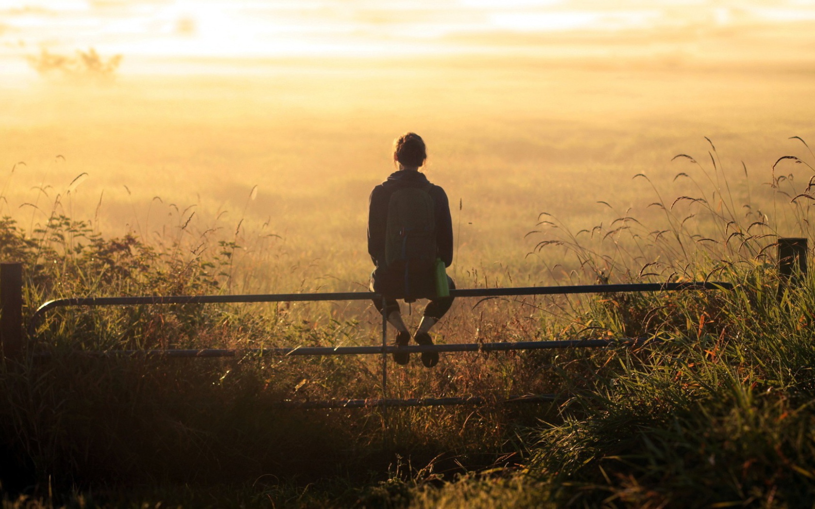 Девушка на заборе