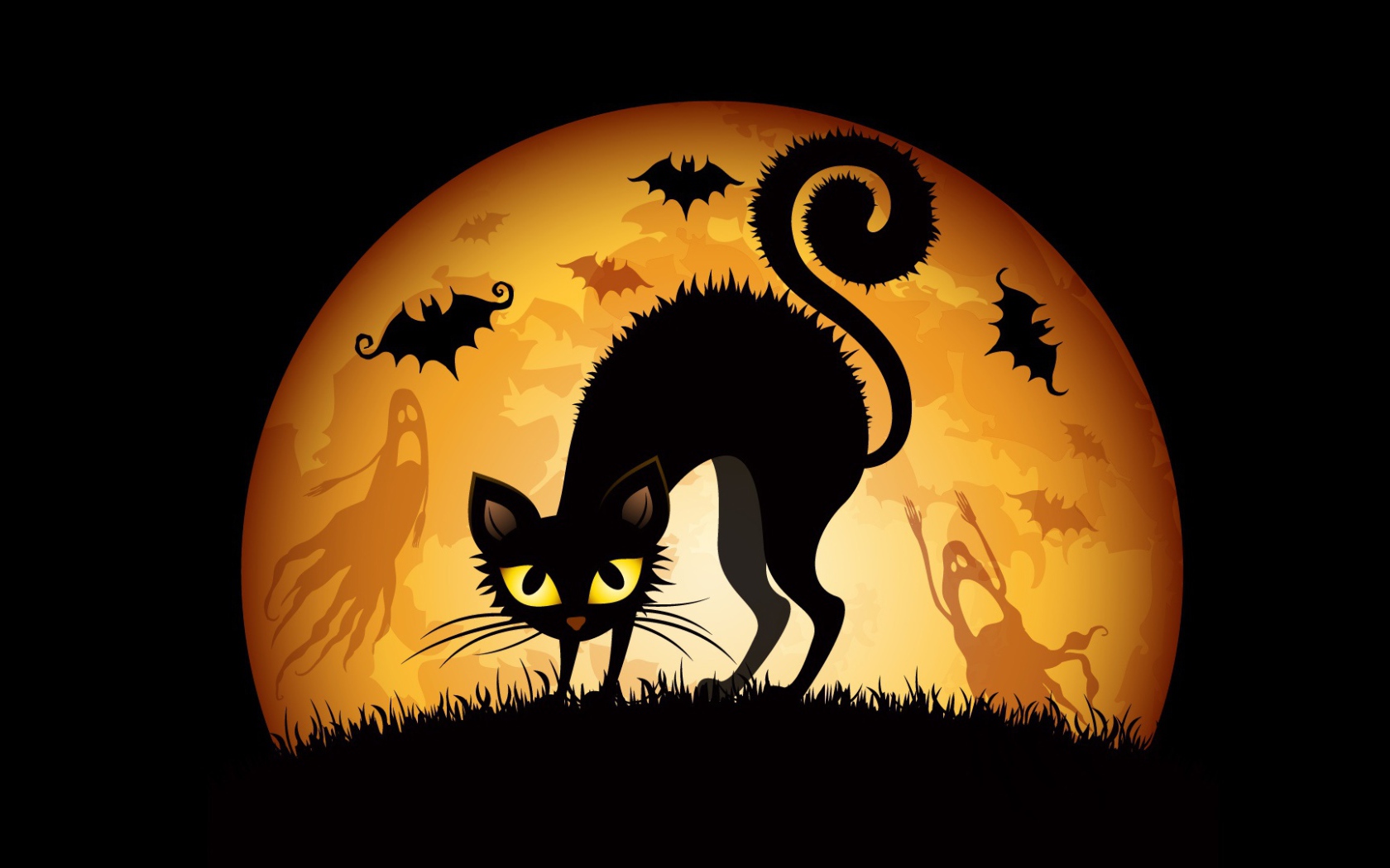 Хеллоуинский кот