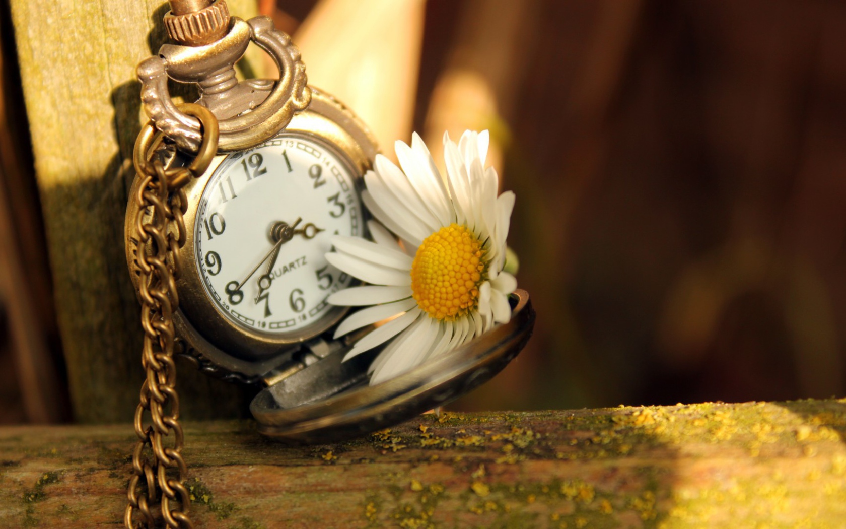 Часы и ромашка
