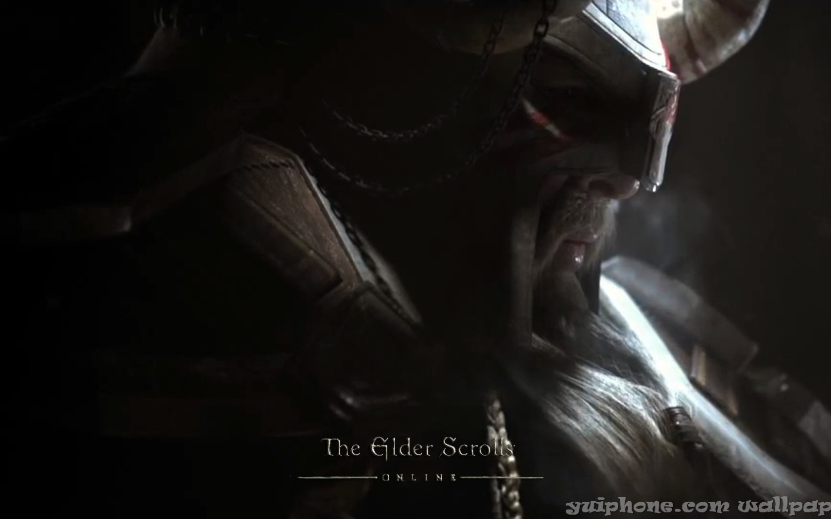 Закаленный в боях викинг