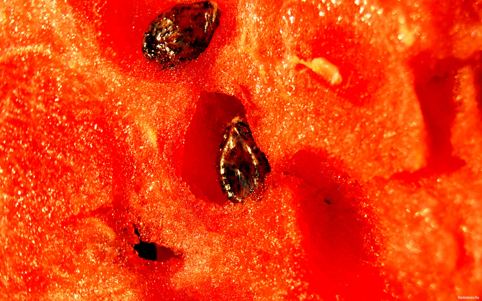 Яркий сочный арбуз