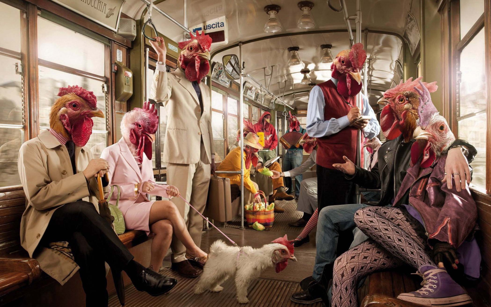 Поездка в курятнике