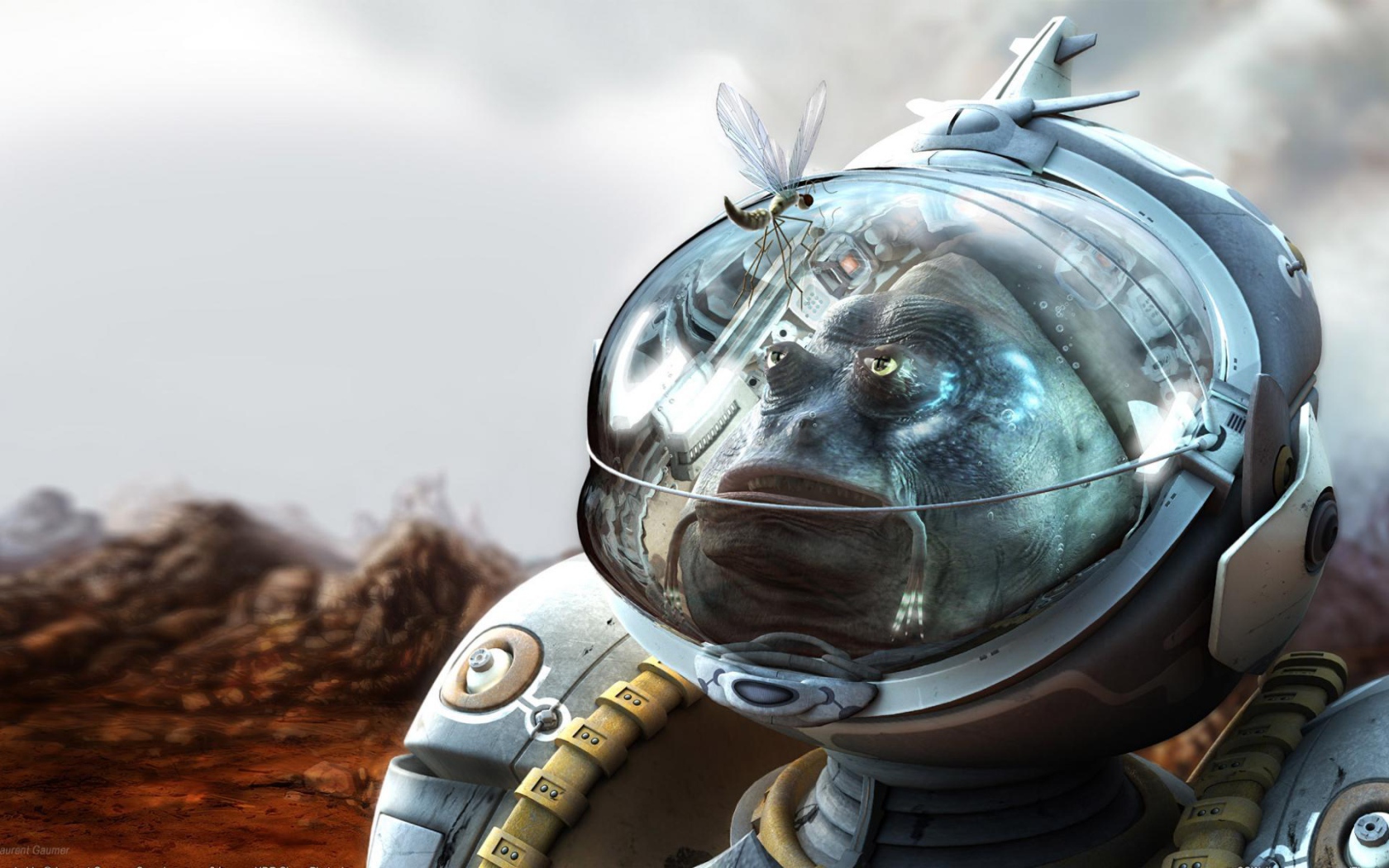 Стрекоза на скафандре