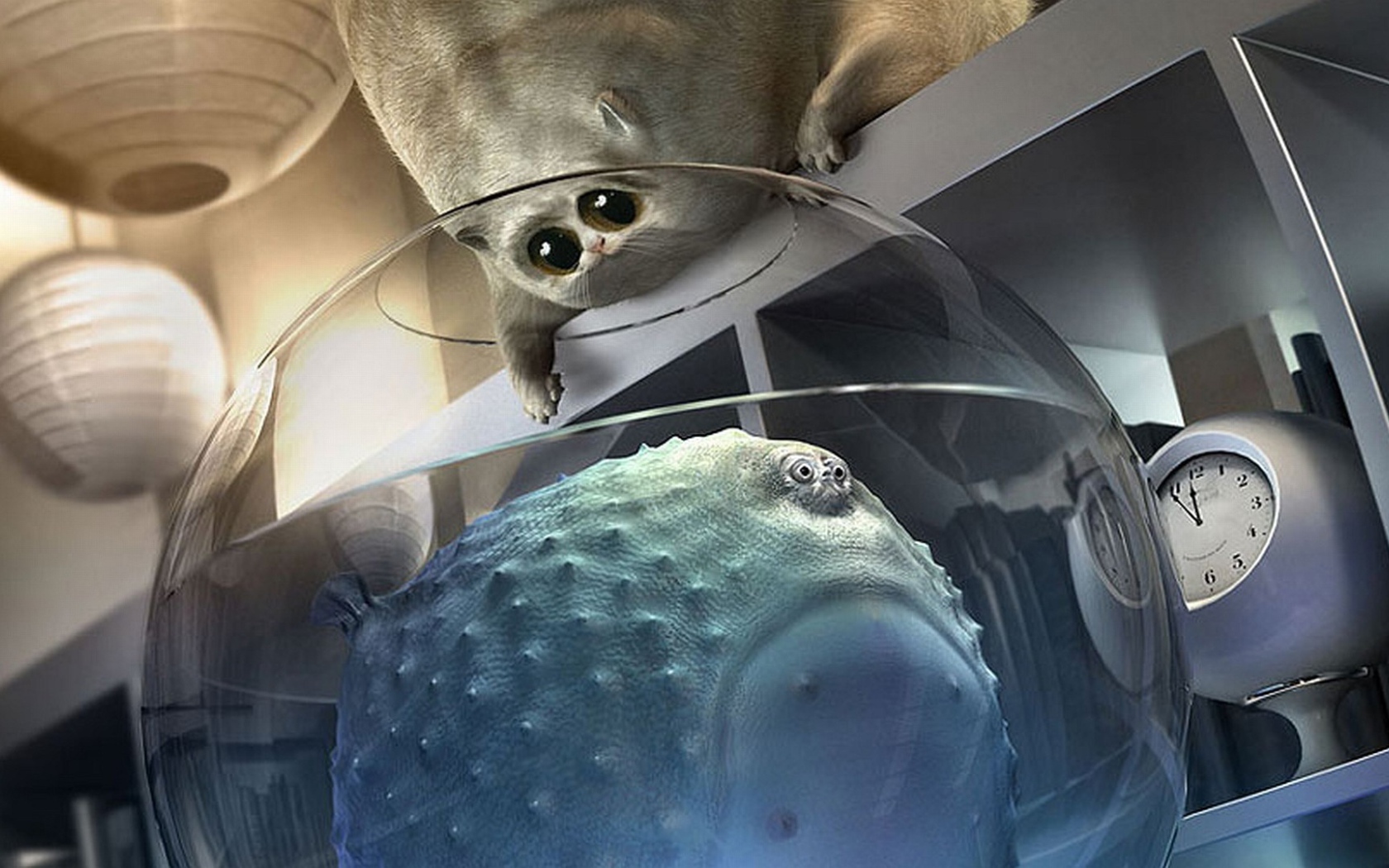 Толстый кот и толстая рыба