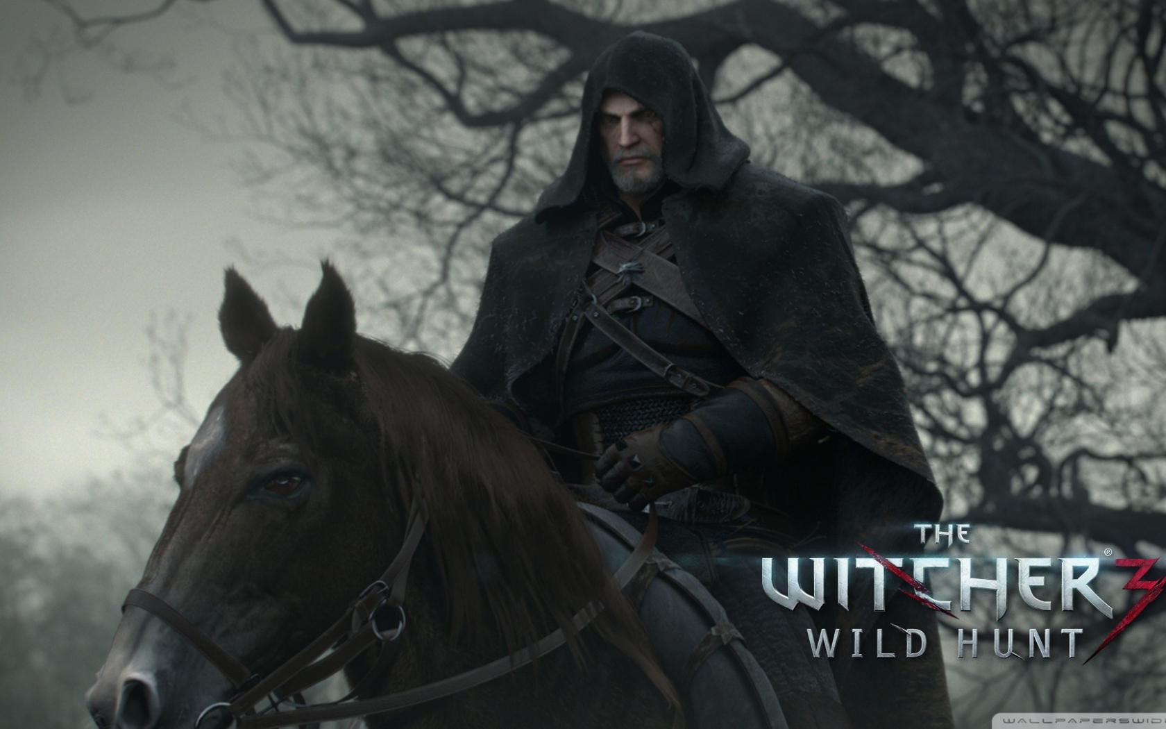 Всадник из игры Ведьмак