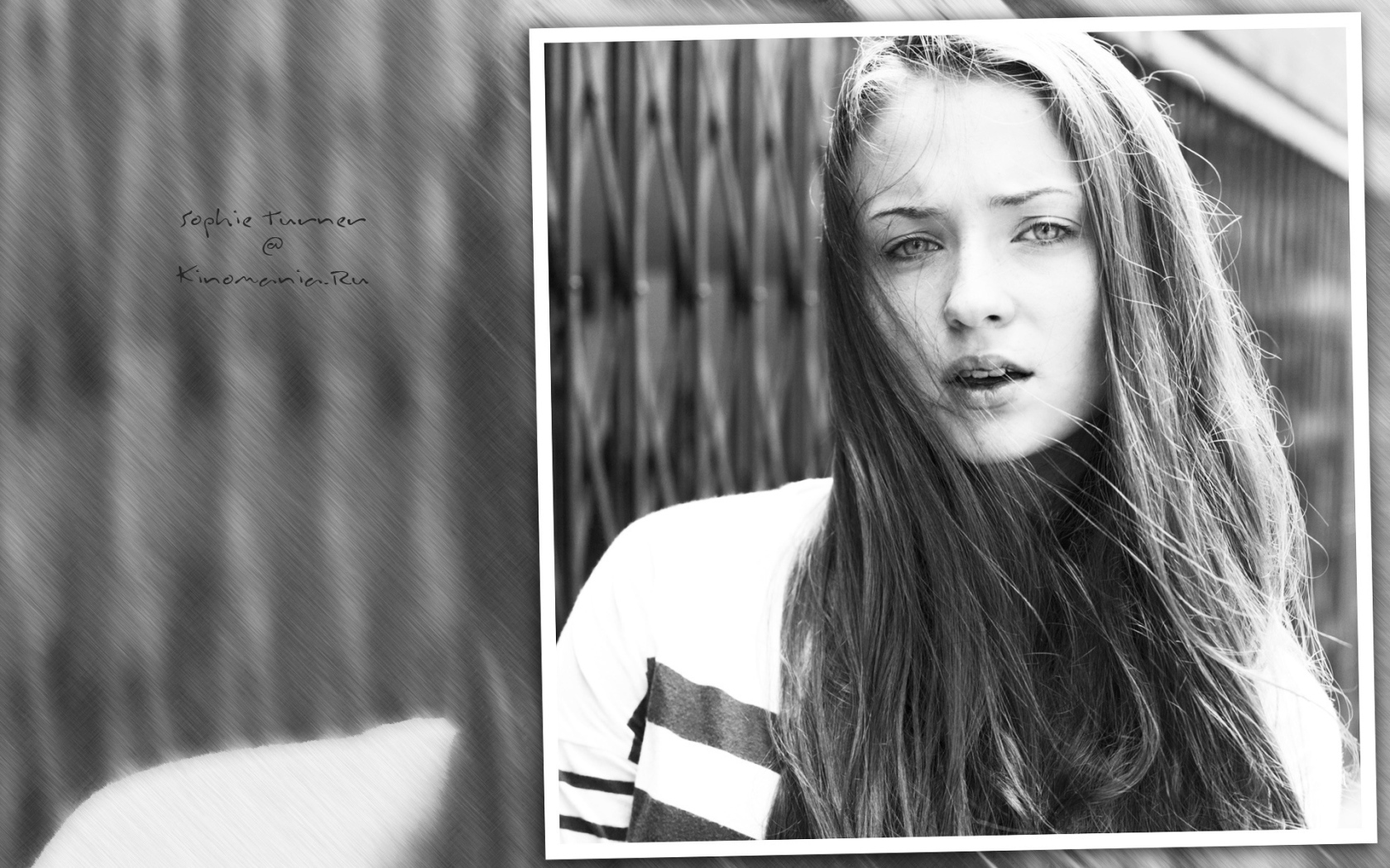 Известная звезда Софи Тернер