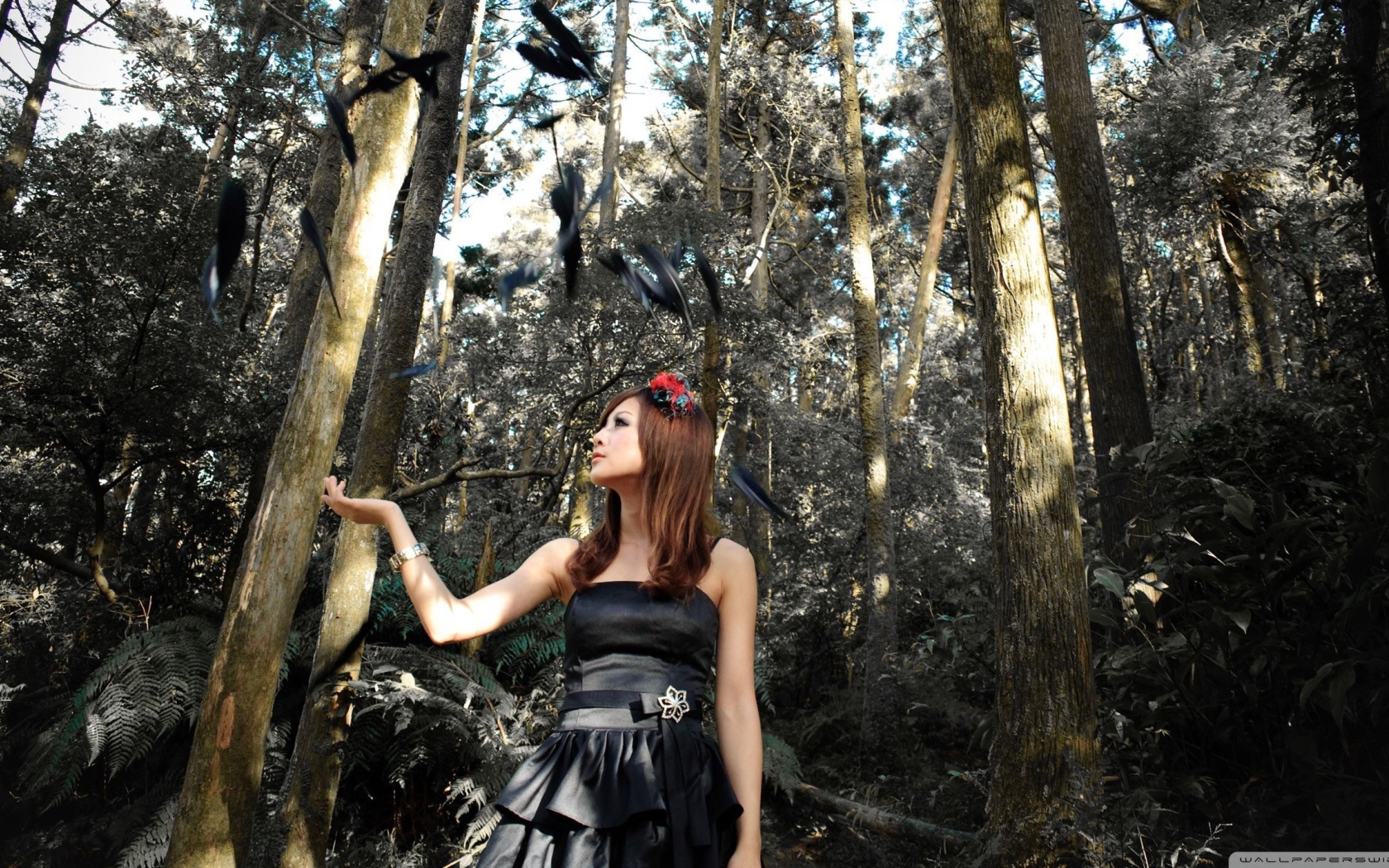 Девушка и черные перья