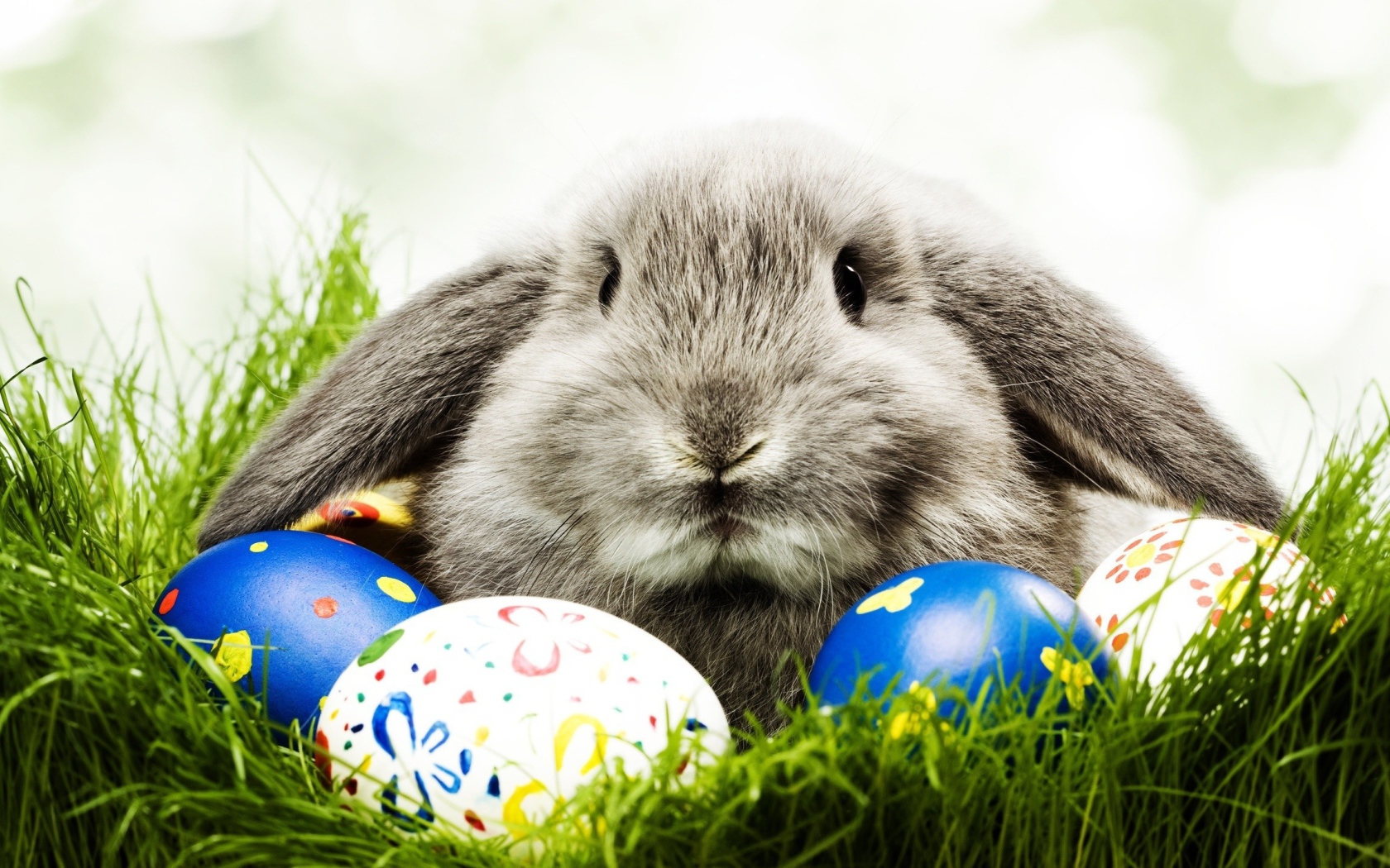 Кролик и пасхальные яйца