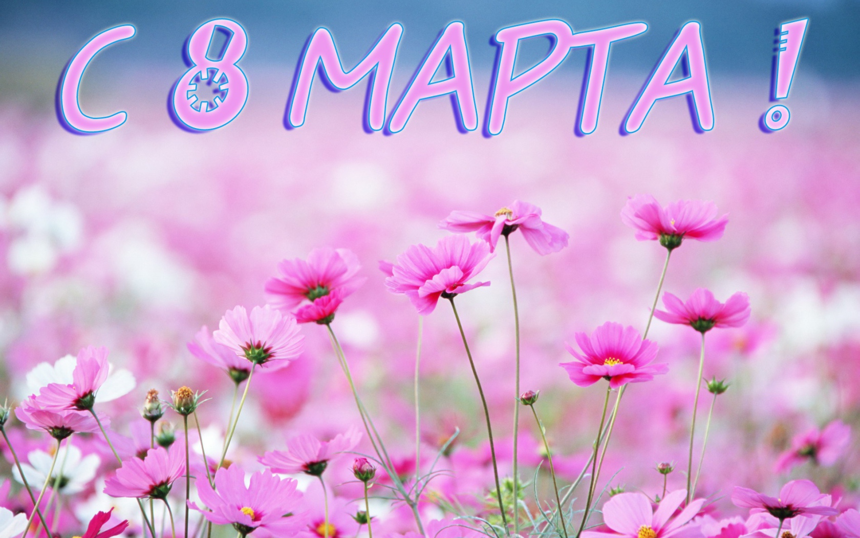 Луговые цветы на 8 марта