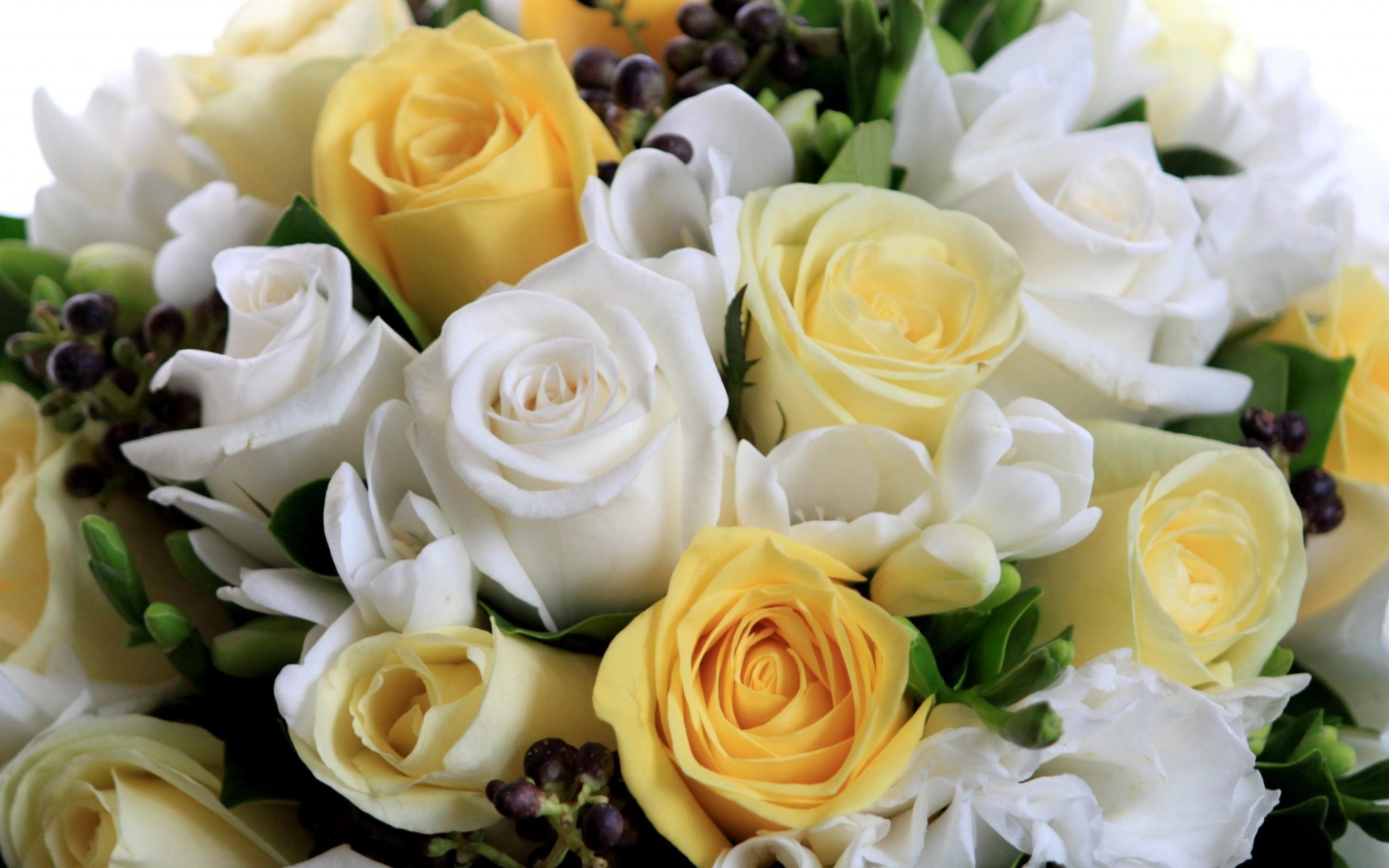 Белые и жёлтые розы в букете на восьмое марта