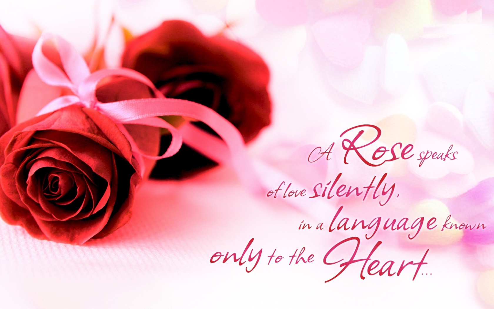 Красные розы и красивые слова о любви