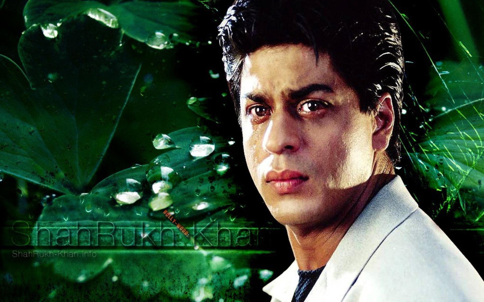 Популярный Актер Шахрукх Кхан