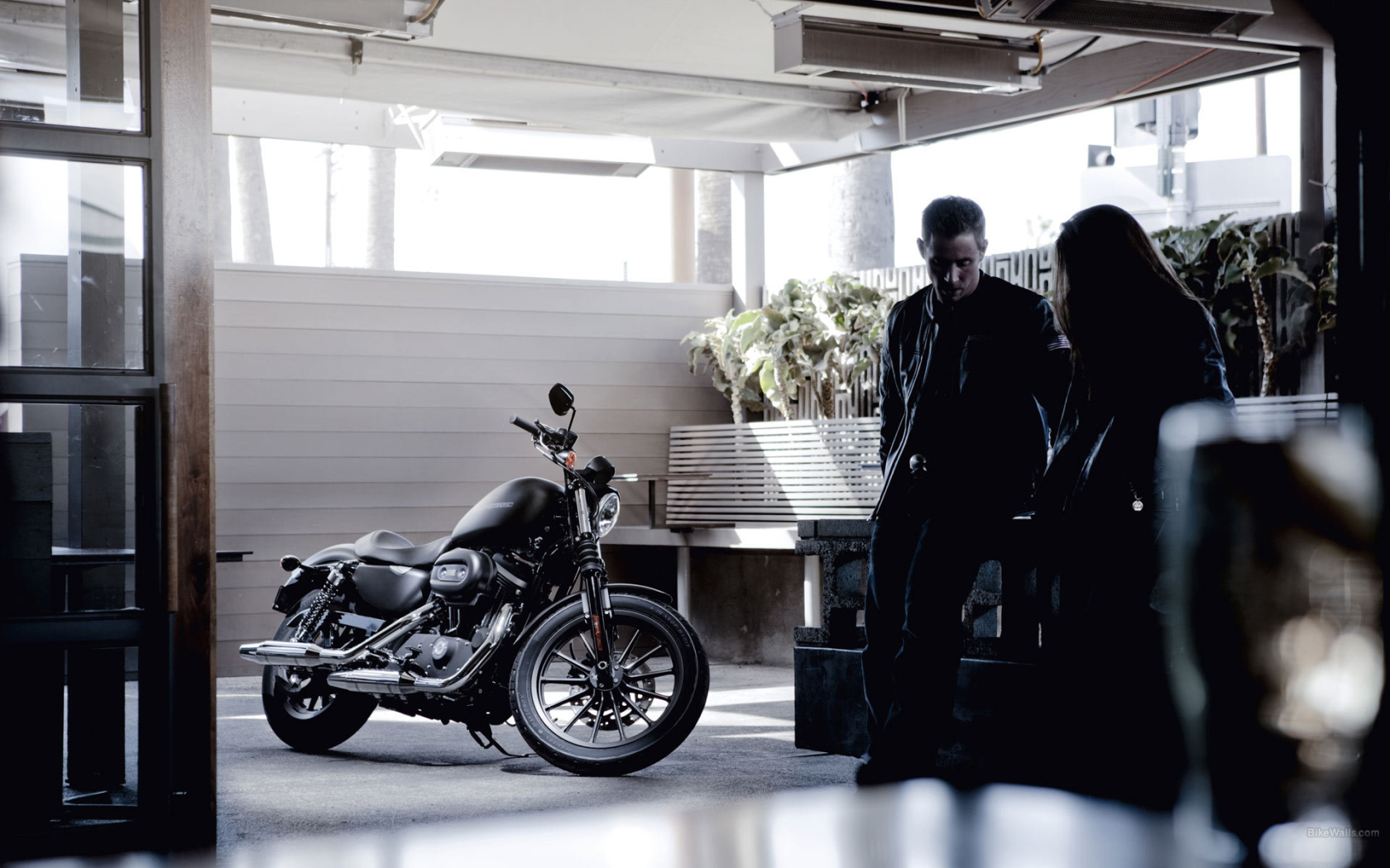 Невероятный мотоцикл Harley-Davidson XL 883N Sportster Iron