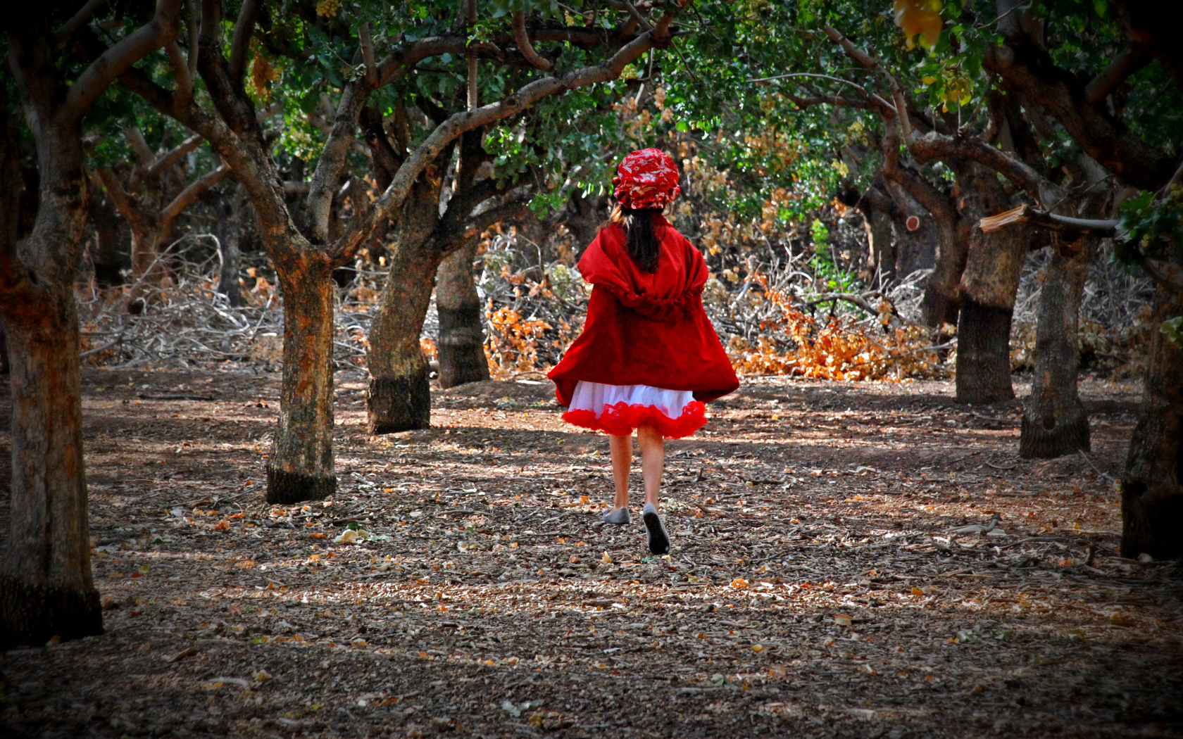 Фильм - В лес