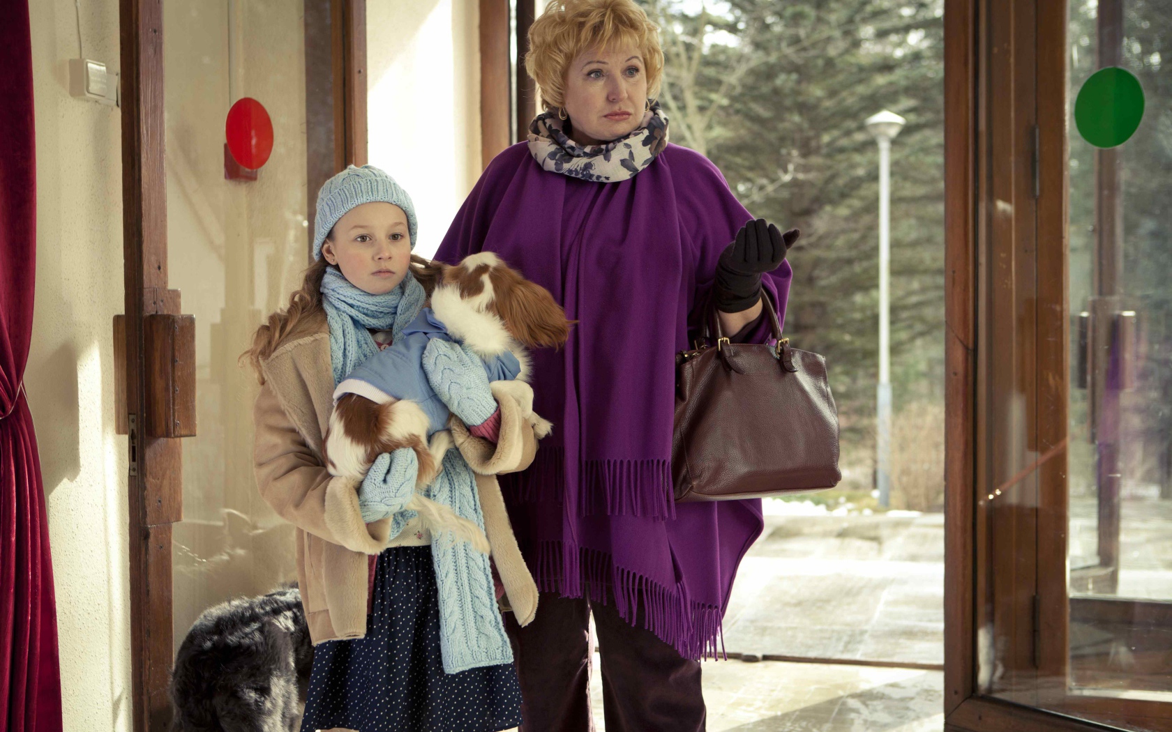 Фильм Ёлки лохматые 2014