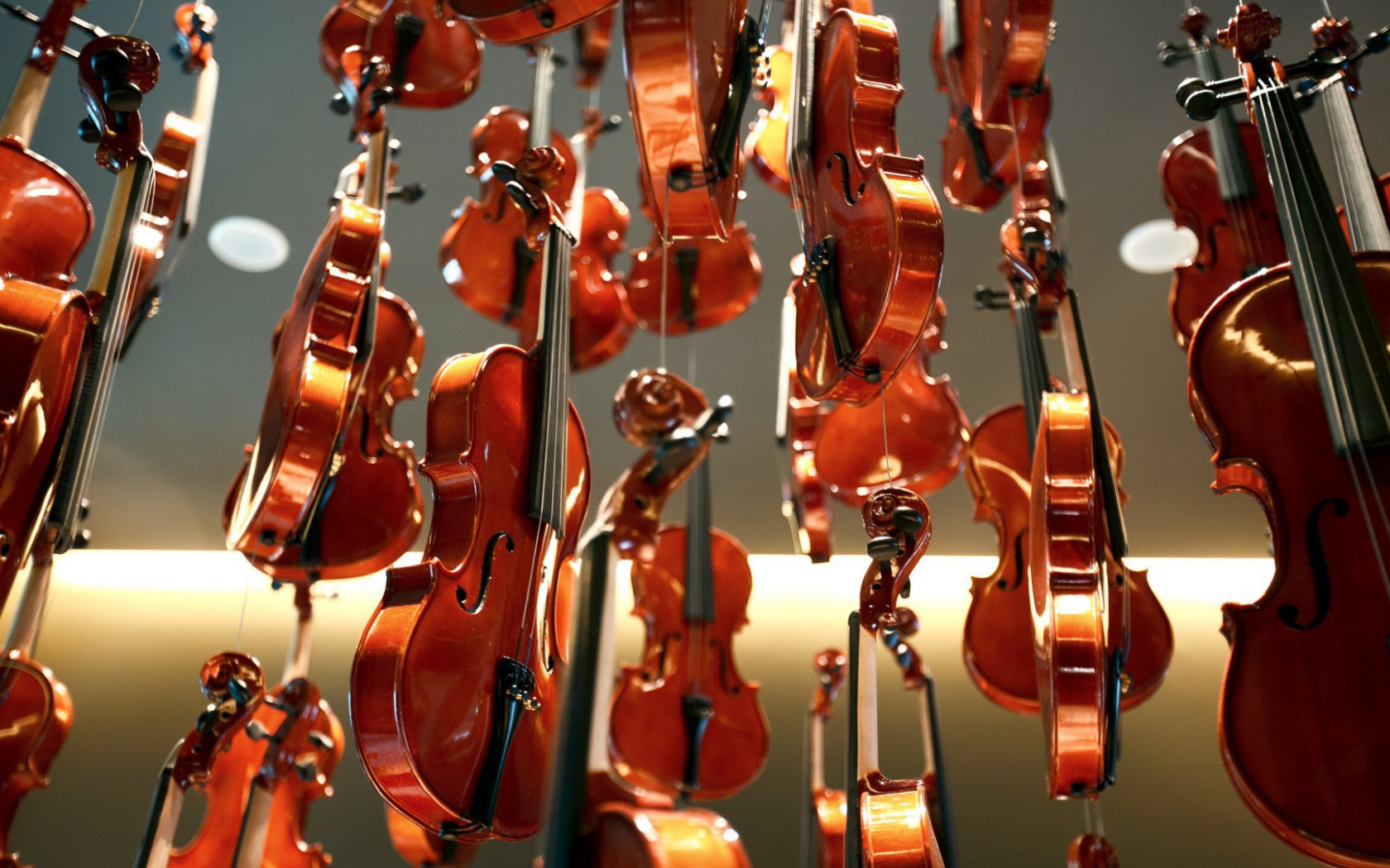 Дождь из скрипок
