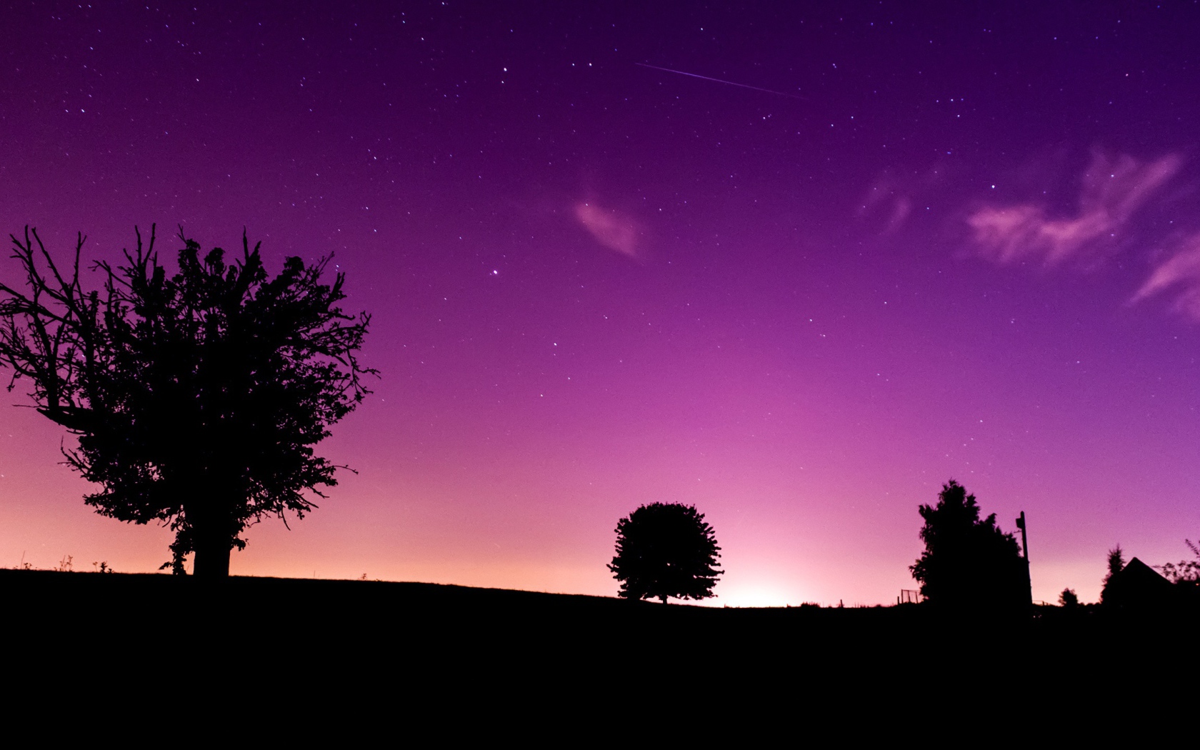 Розовая ночь