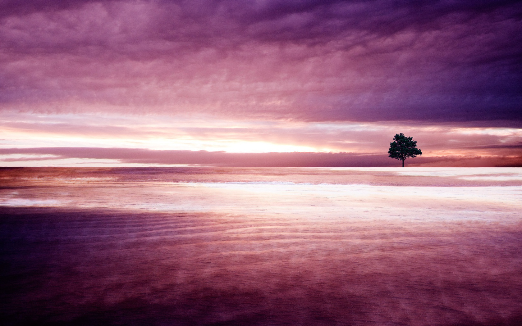 Фиолетовая природа 