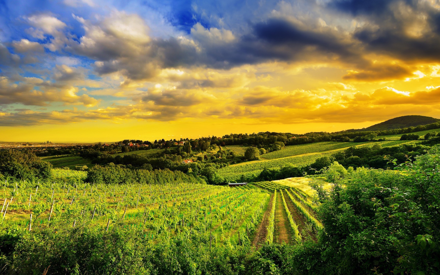 Pазработаная площадь полей