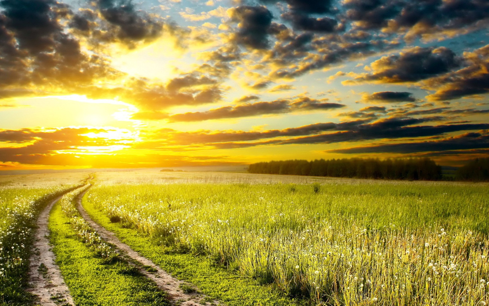 Дорога на закат