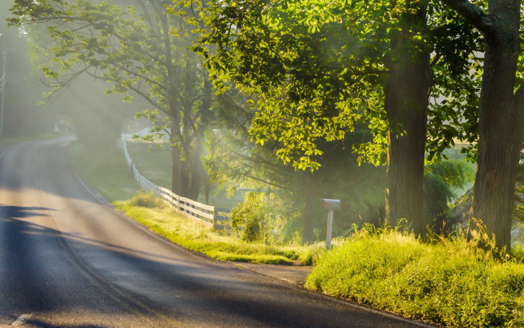 Дорога с ограждением в лесу