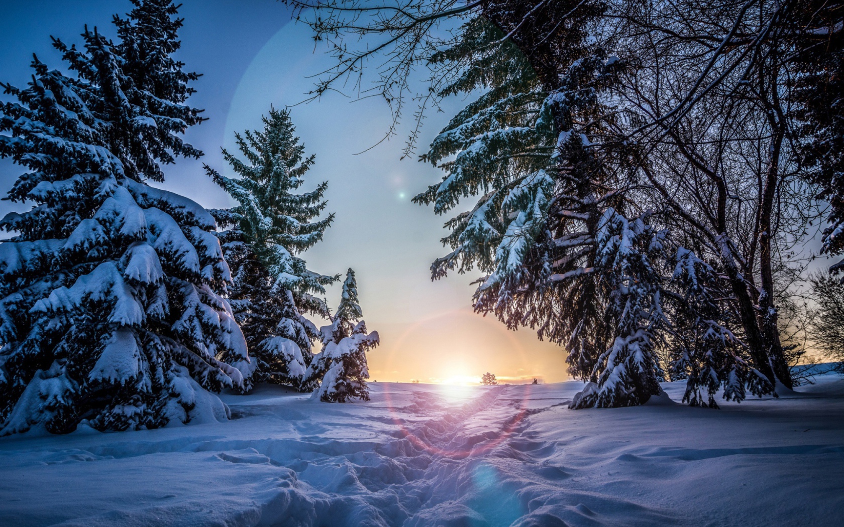 Sunrise in the winter forest