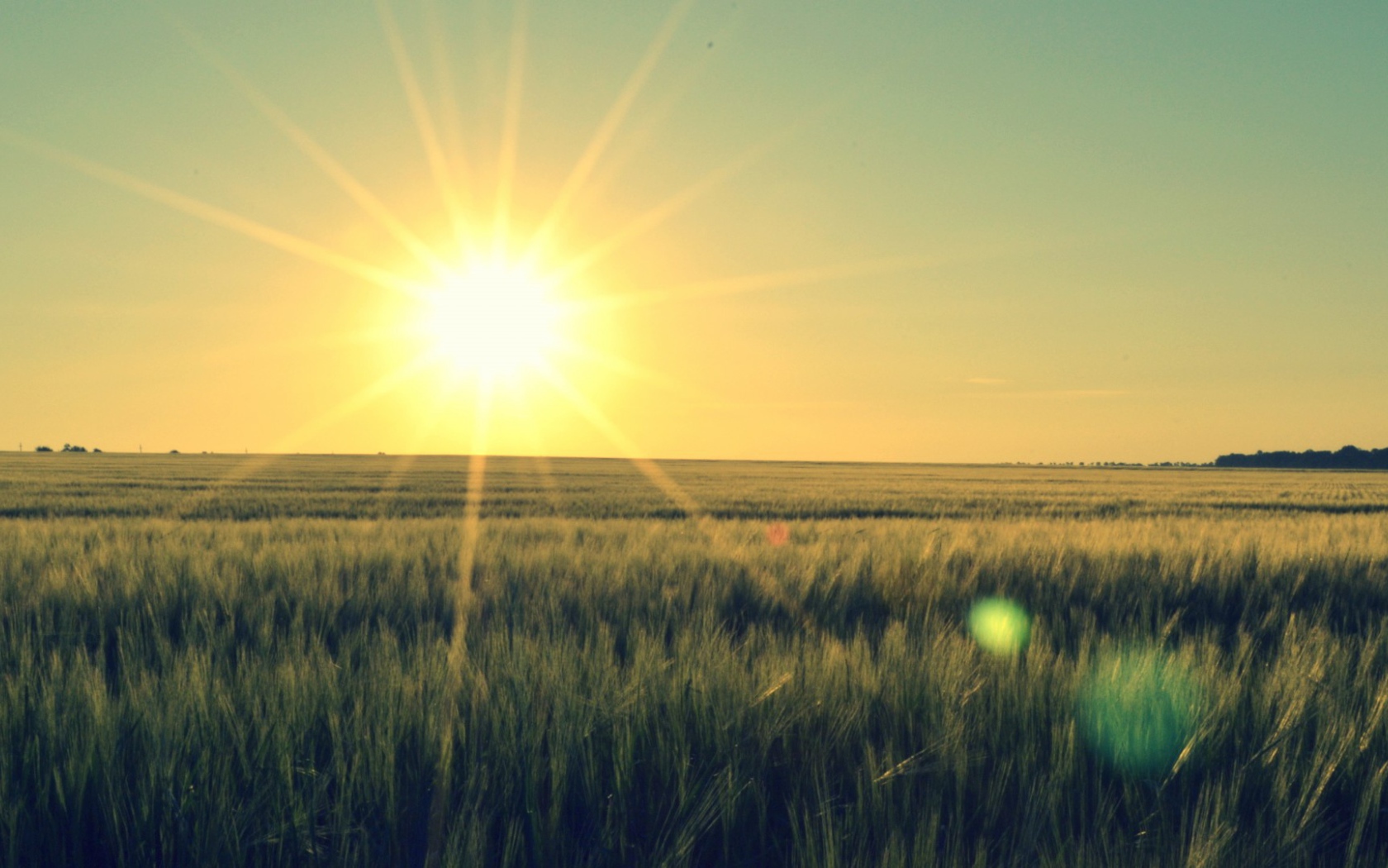 Закат в степи