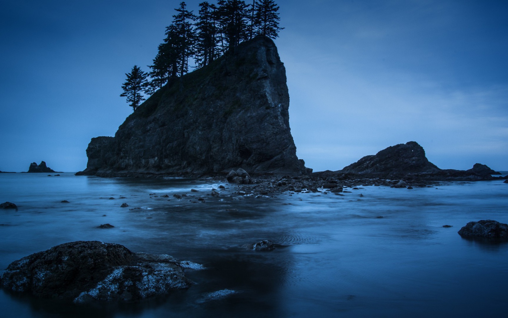 Деревья на прибрежной скале