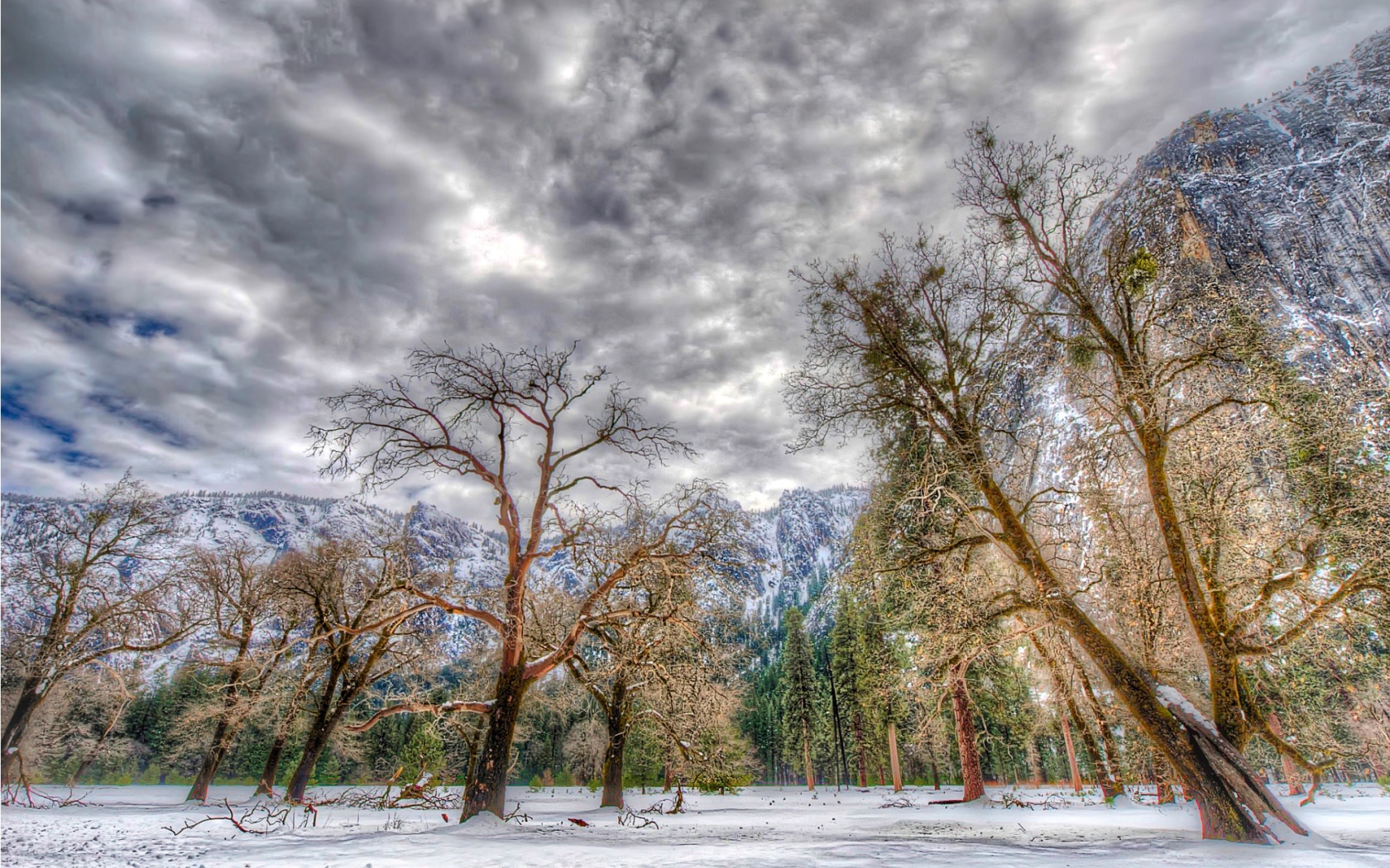 Зима в национальном парке