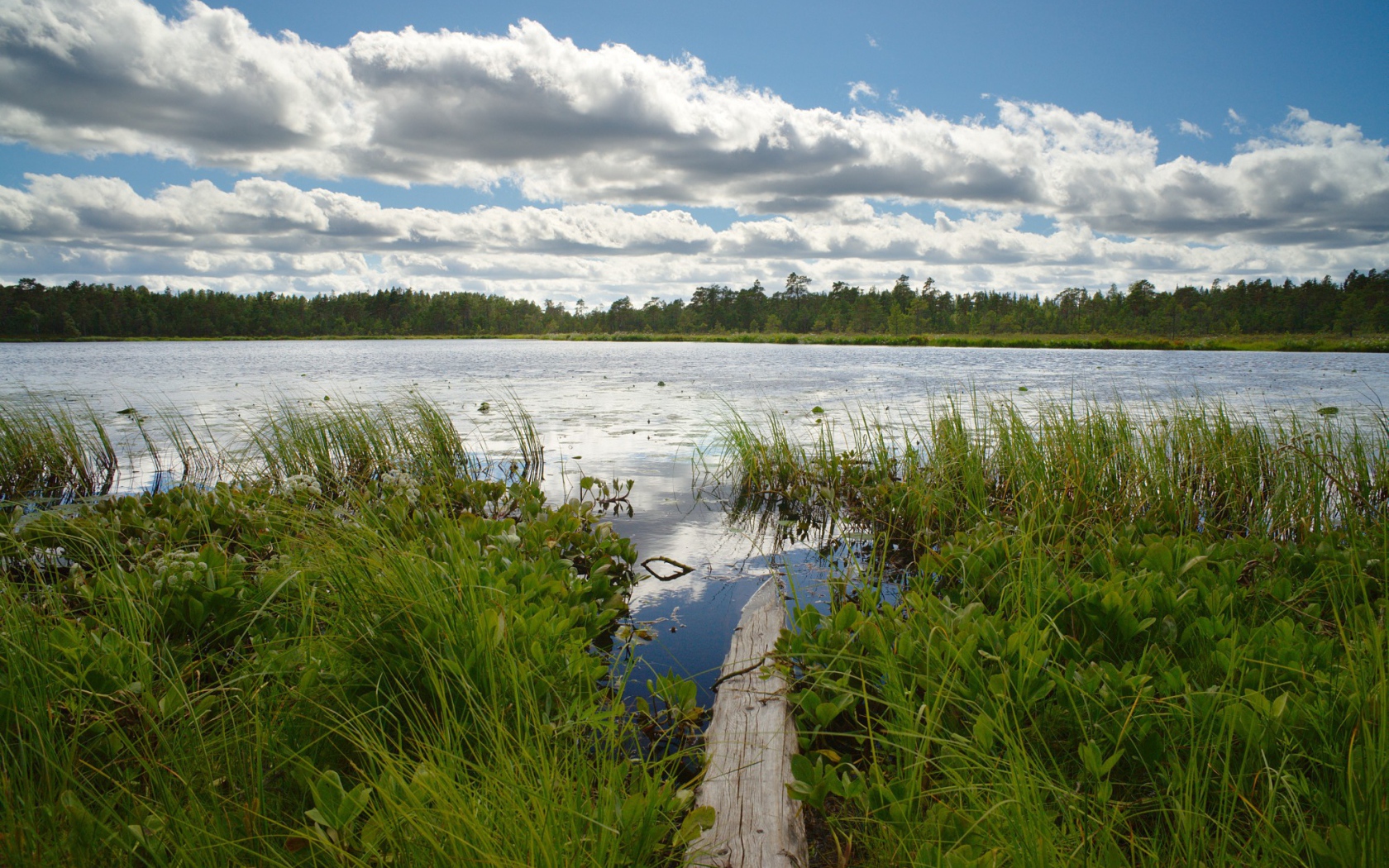 Облака над озером