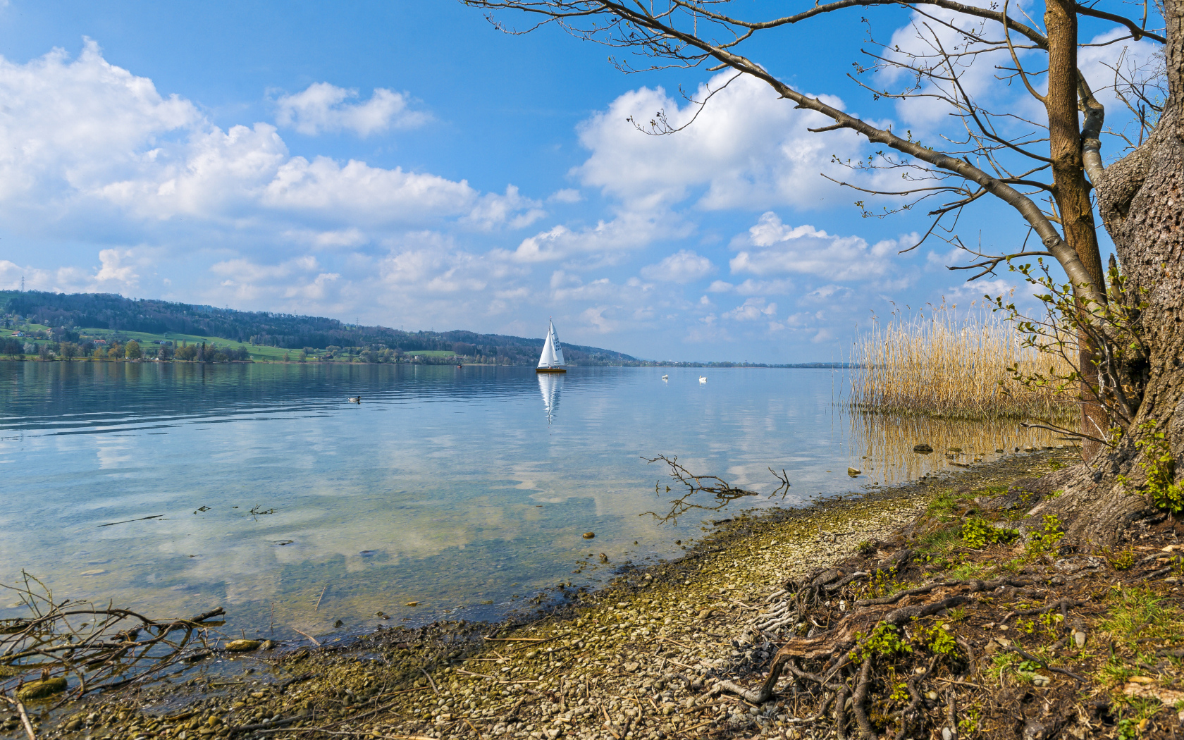 Редкие осенние облака