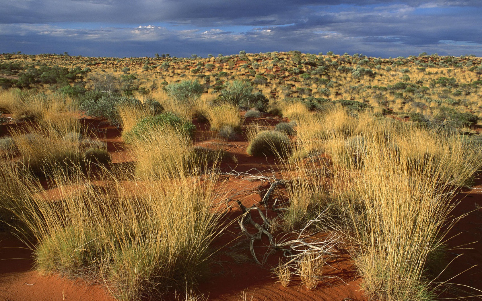 Desert in Australia