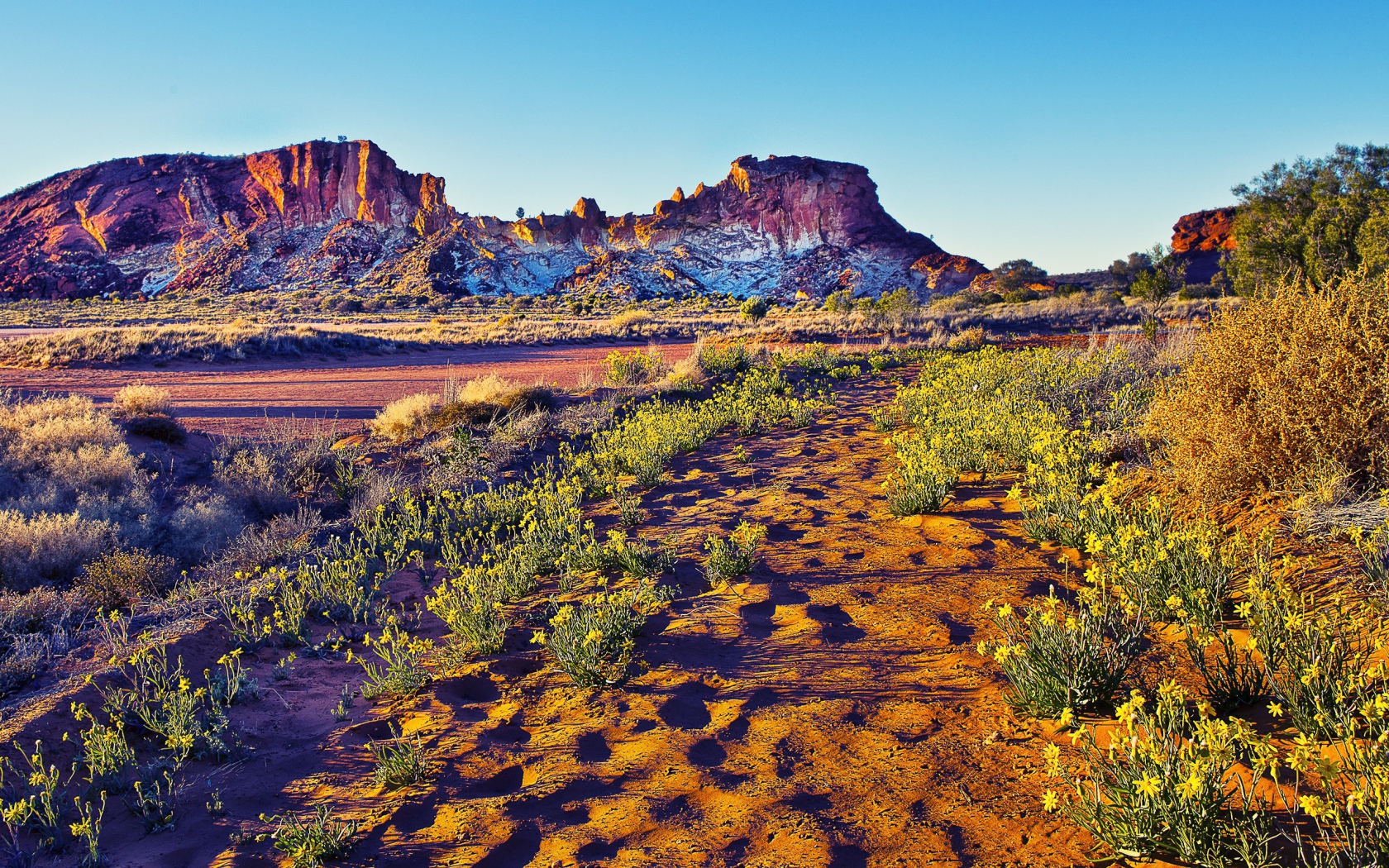 Закат в пустыне