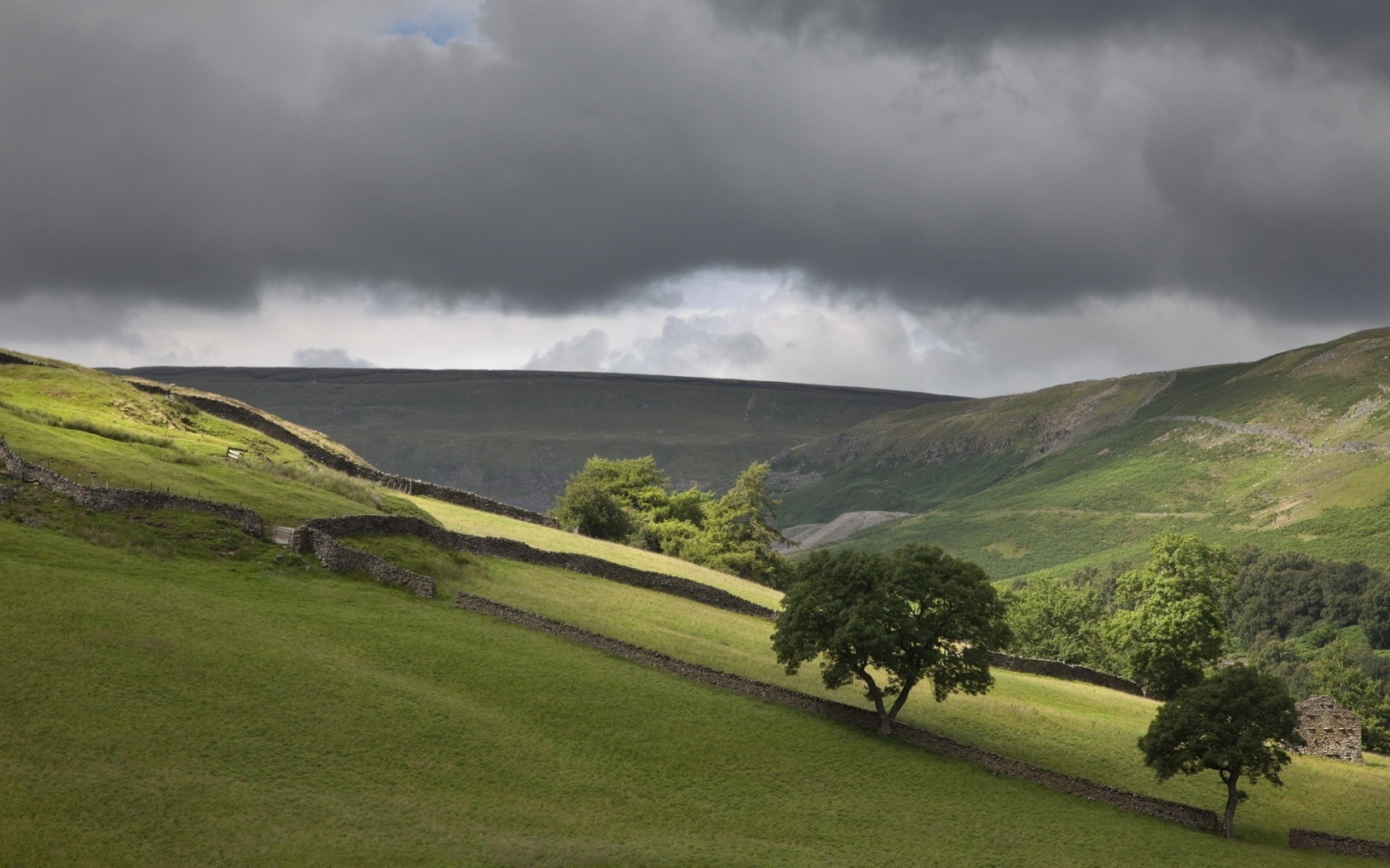 Поля огороженные заборами