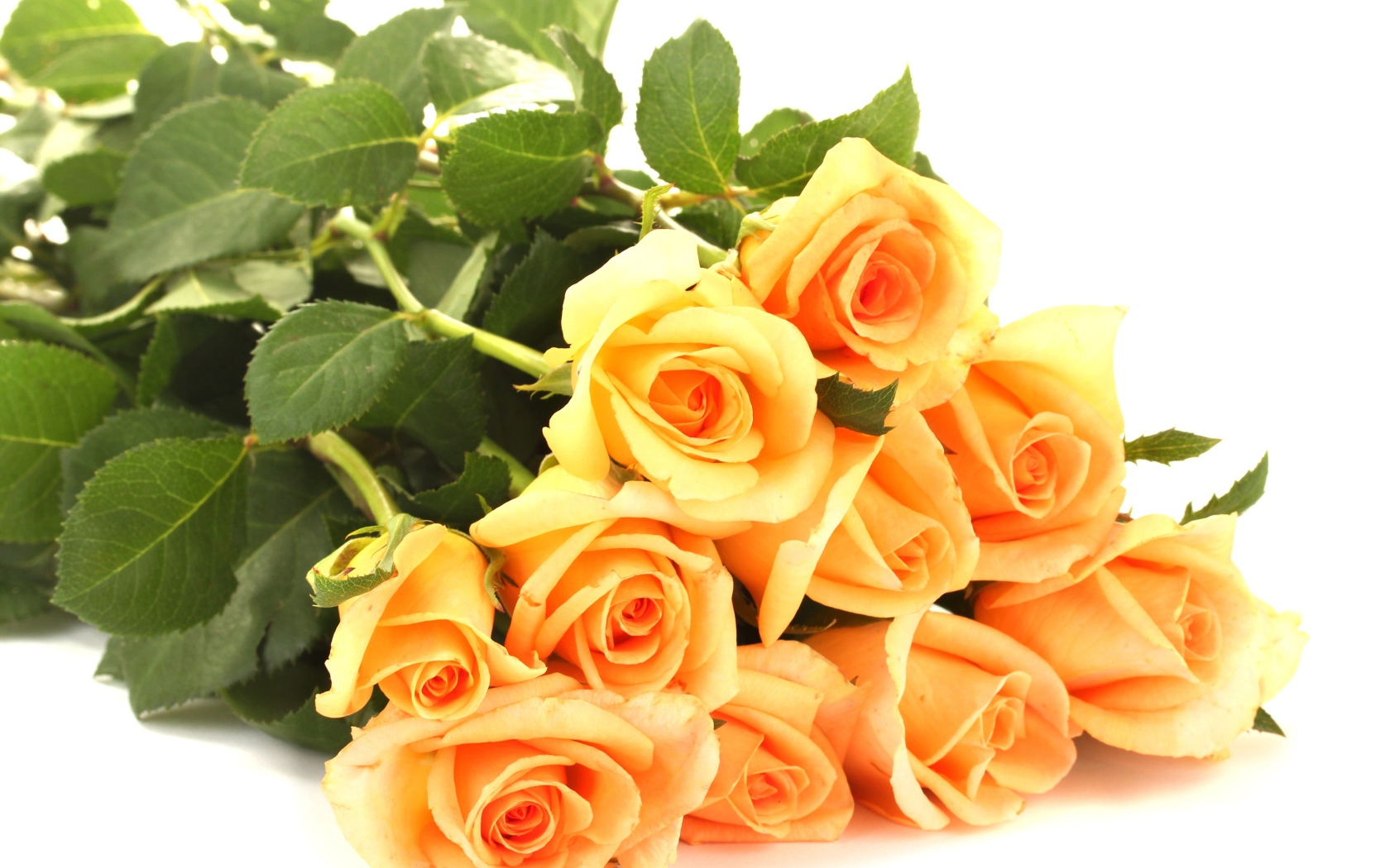 Букет оранжевых роз