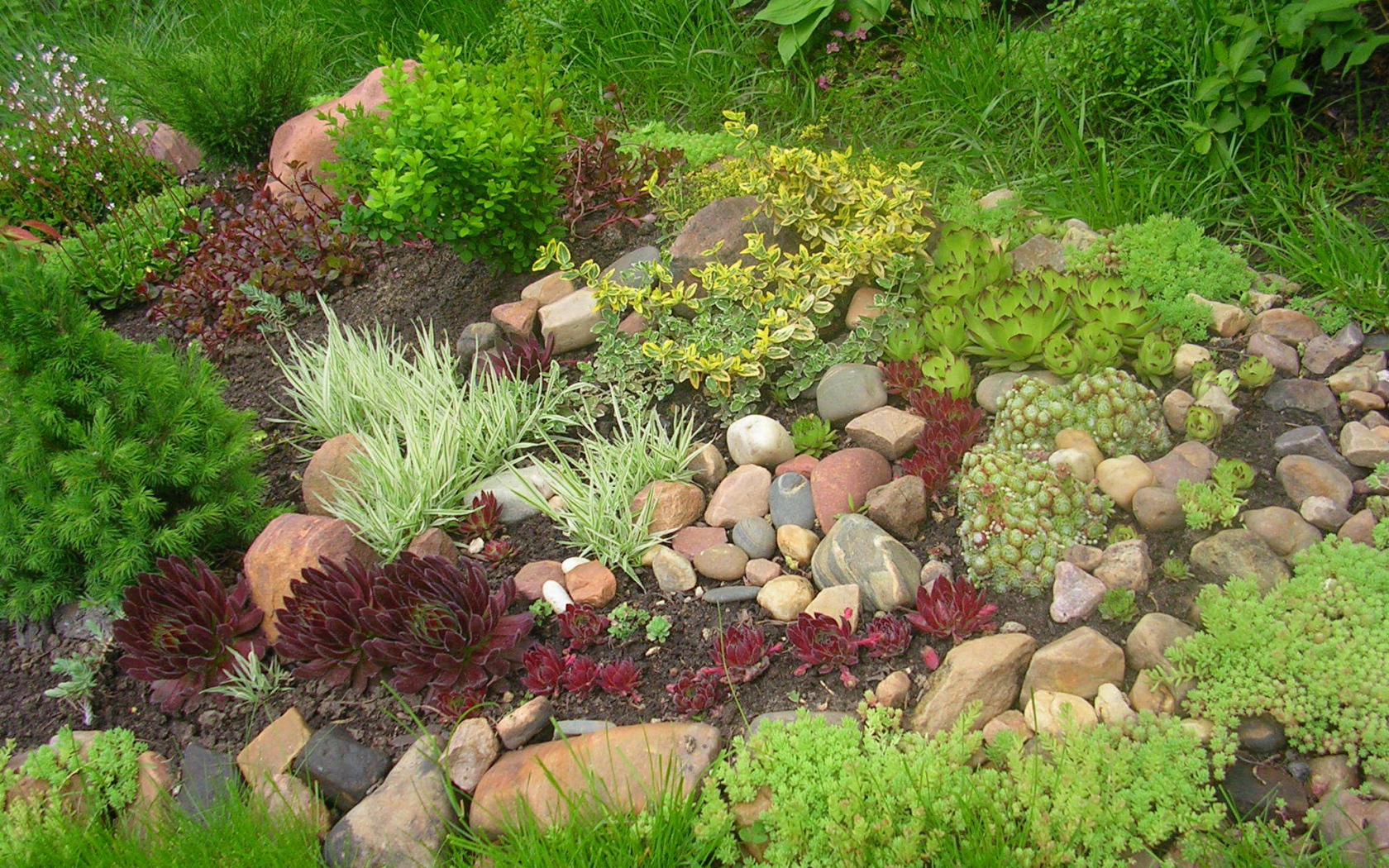 На дачном участке красивая альпийская горка