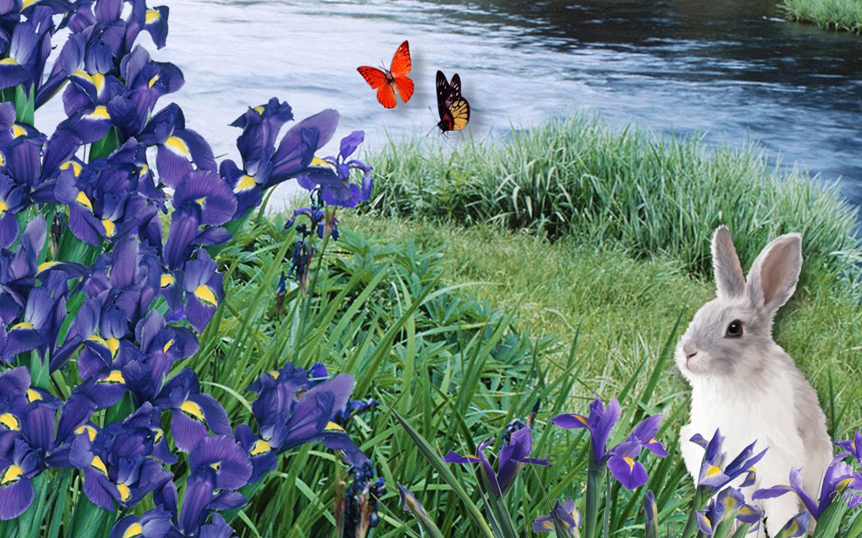 Заяц среди ирисов