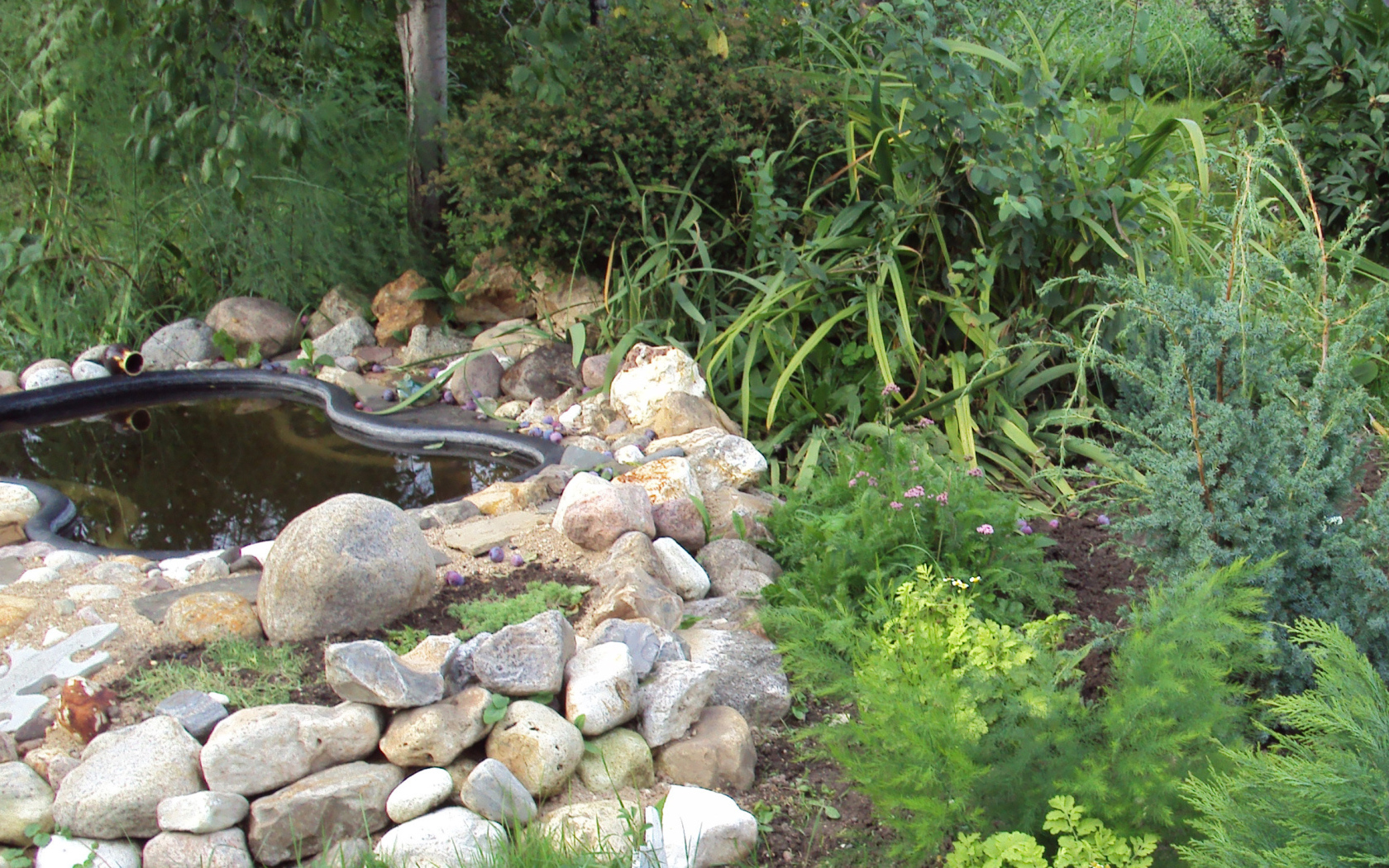 На поляне красивая альпийская горка