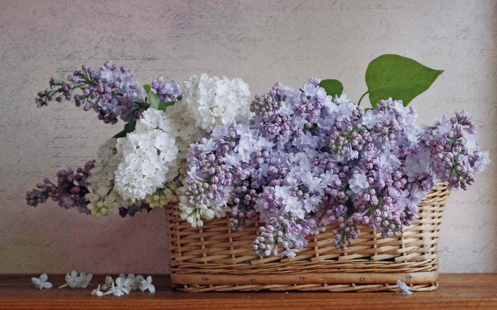 Сирень в корзине