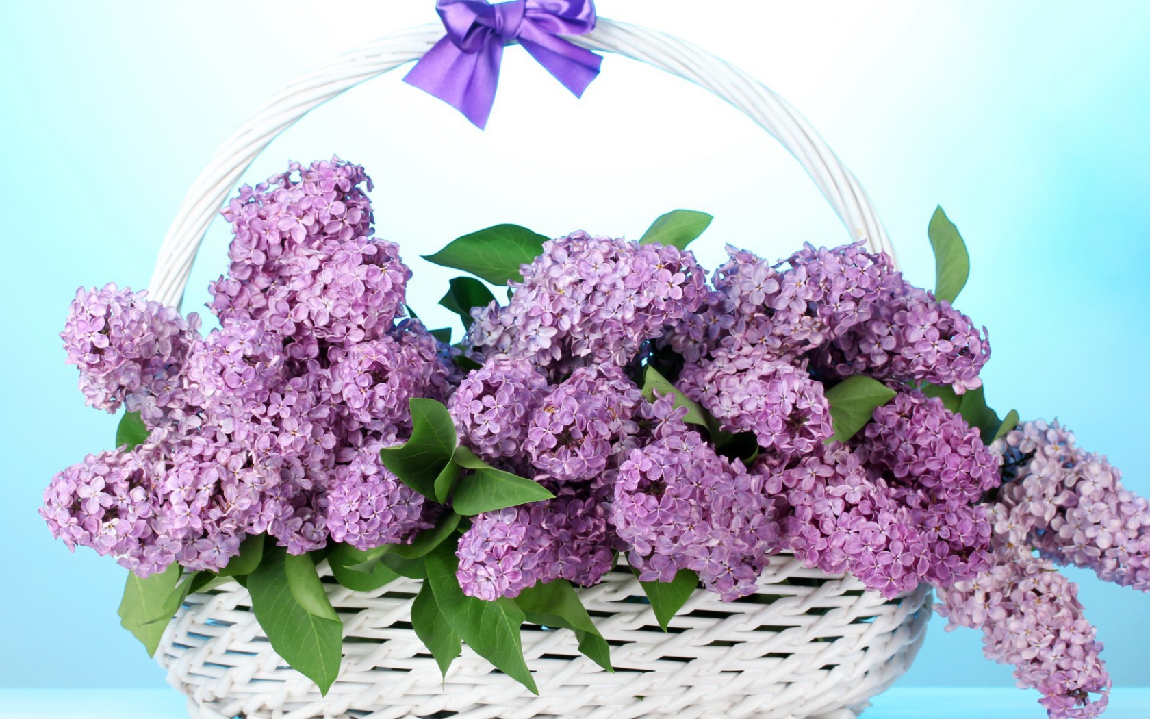 Сирень в корзине