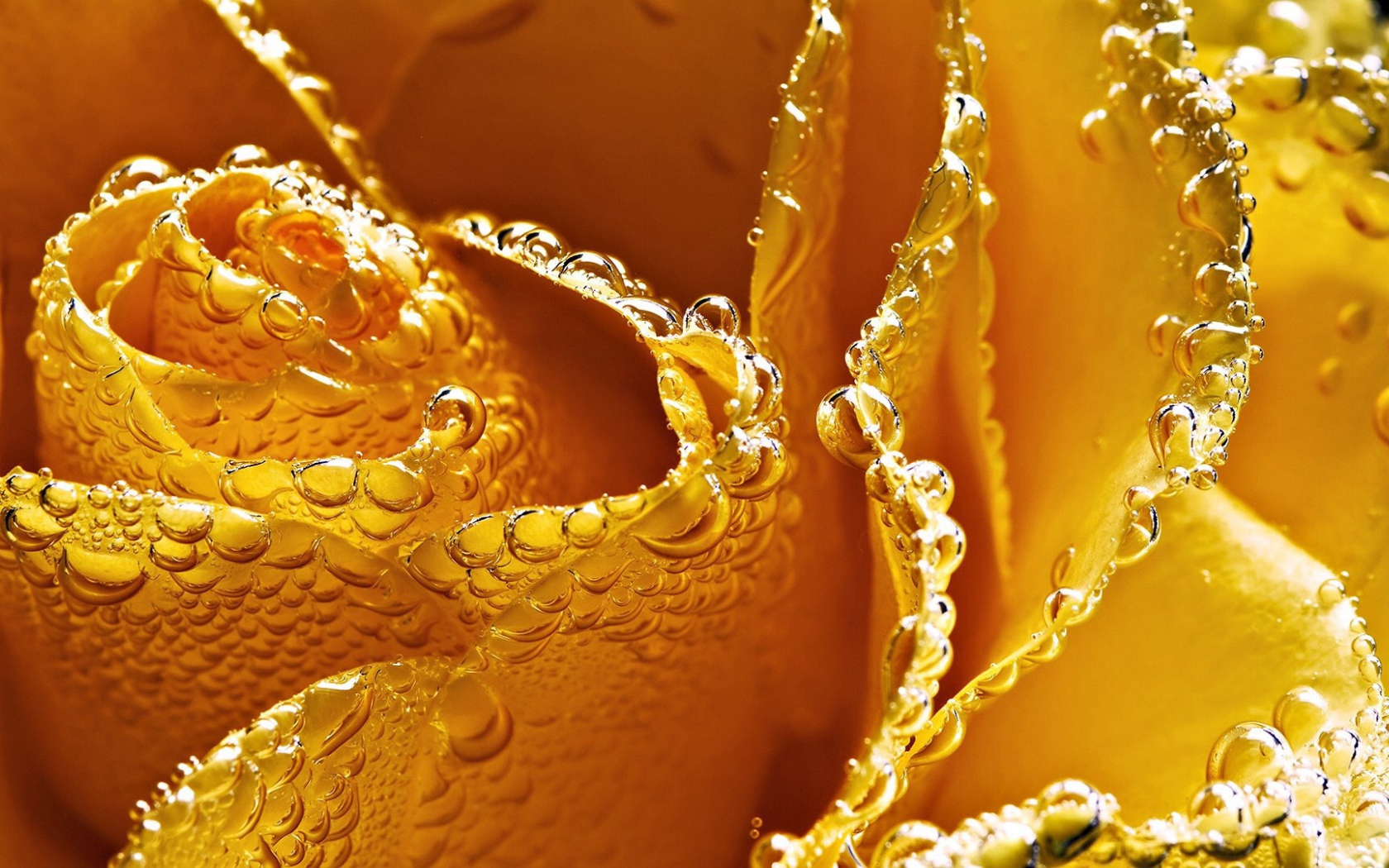 Жёлтая роза в пузырьках воздуха