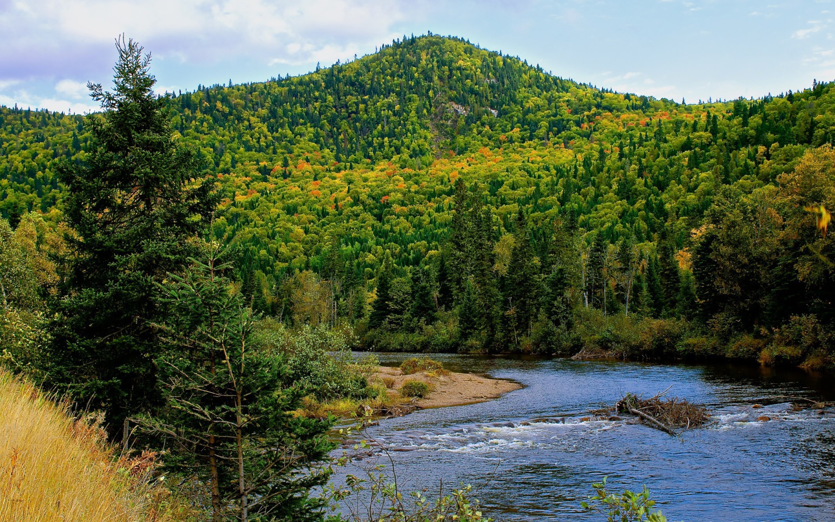 Гора покрытая лесом