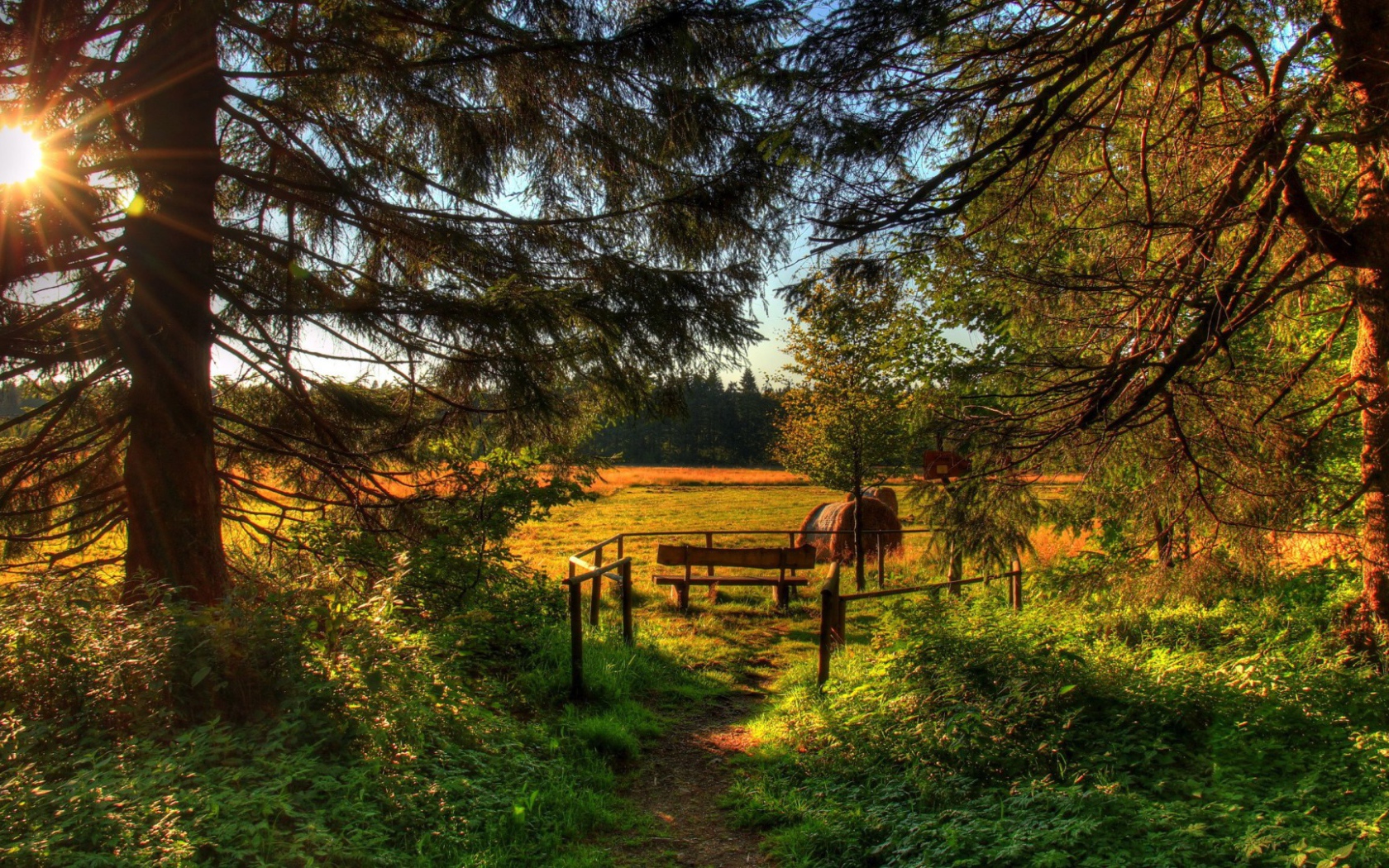 Летняя полянка