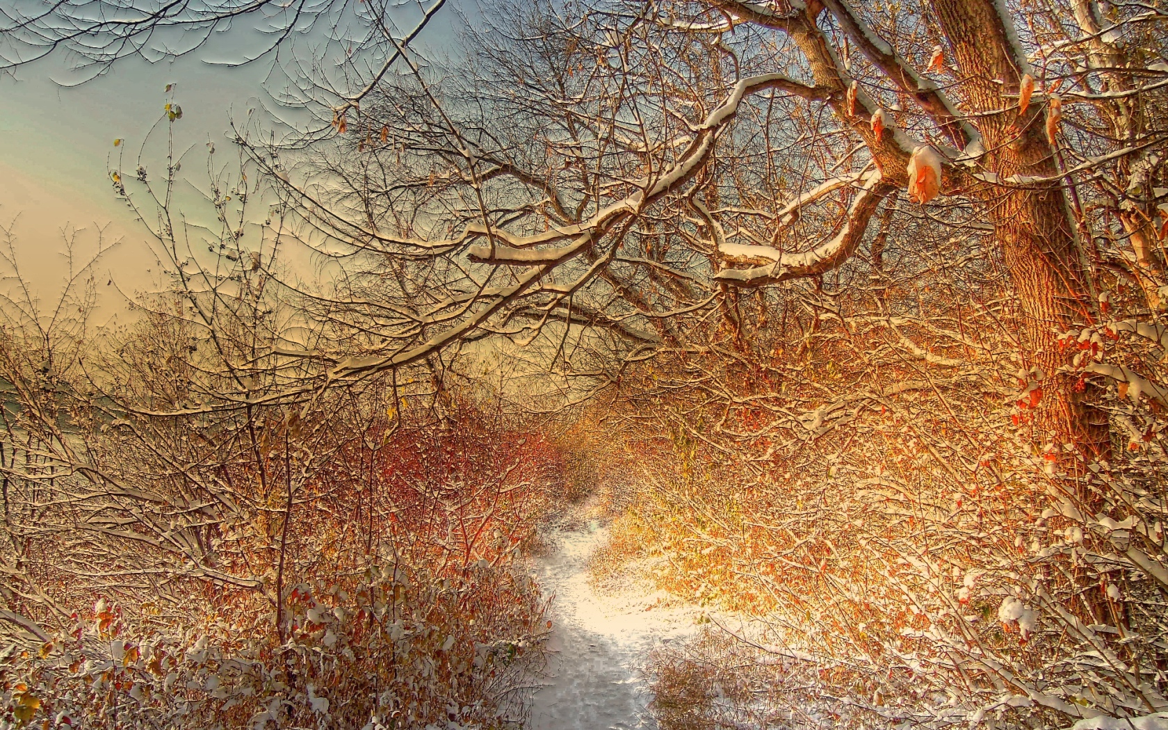 Зимняя дорожка через лес