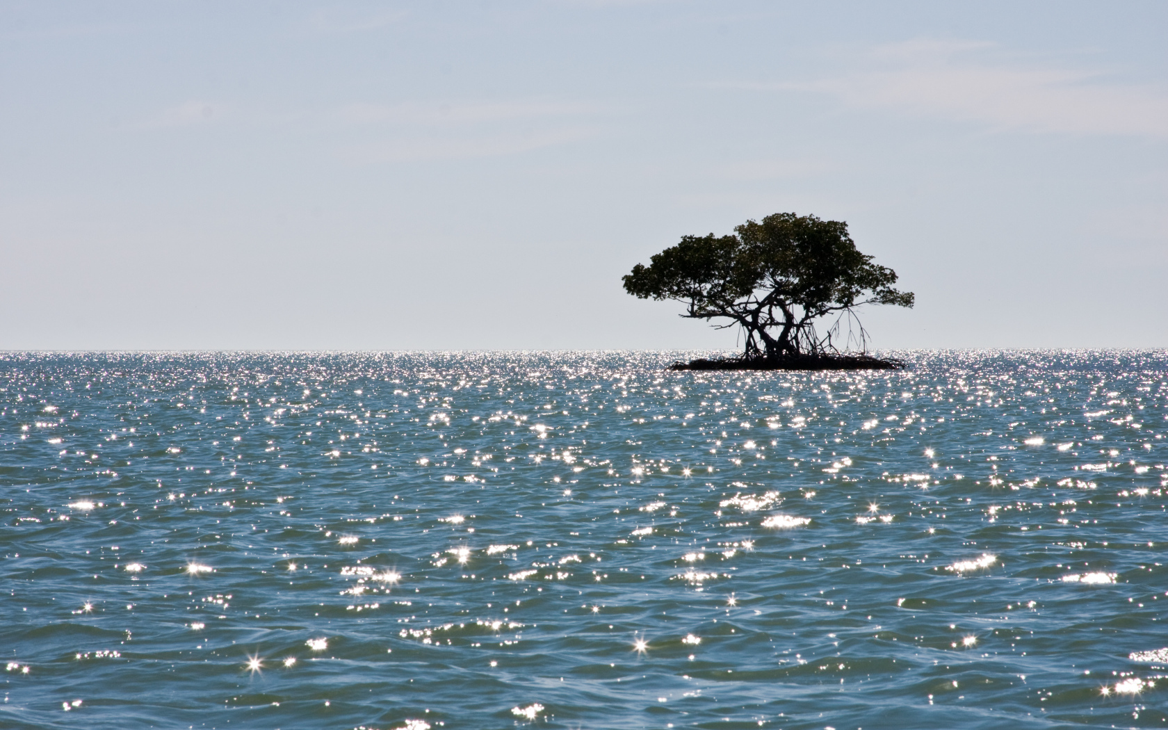 Маленький остров с деревом