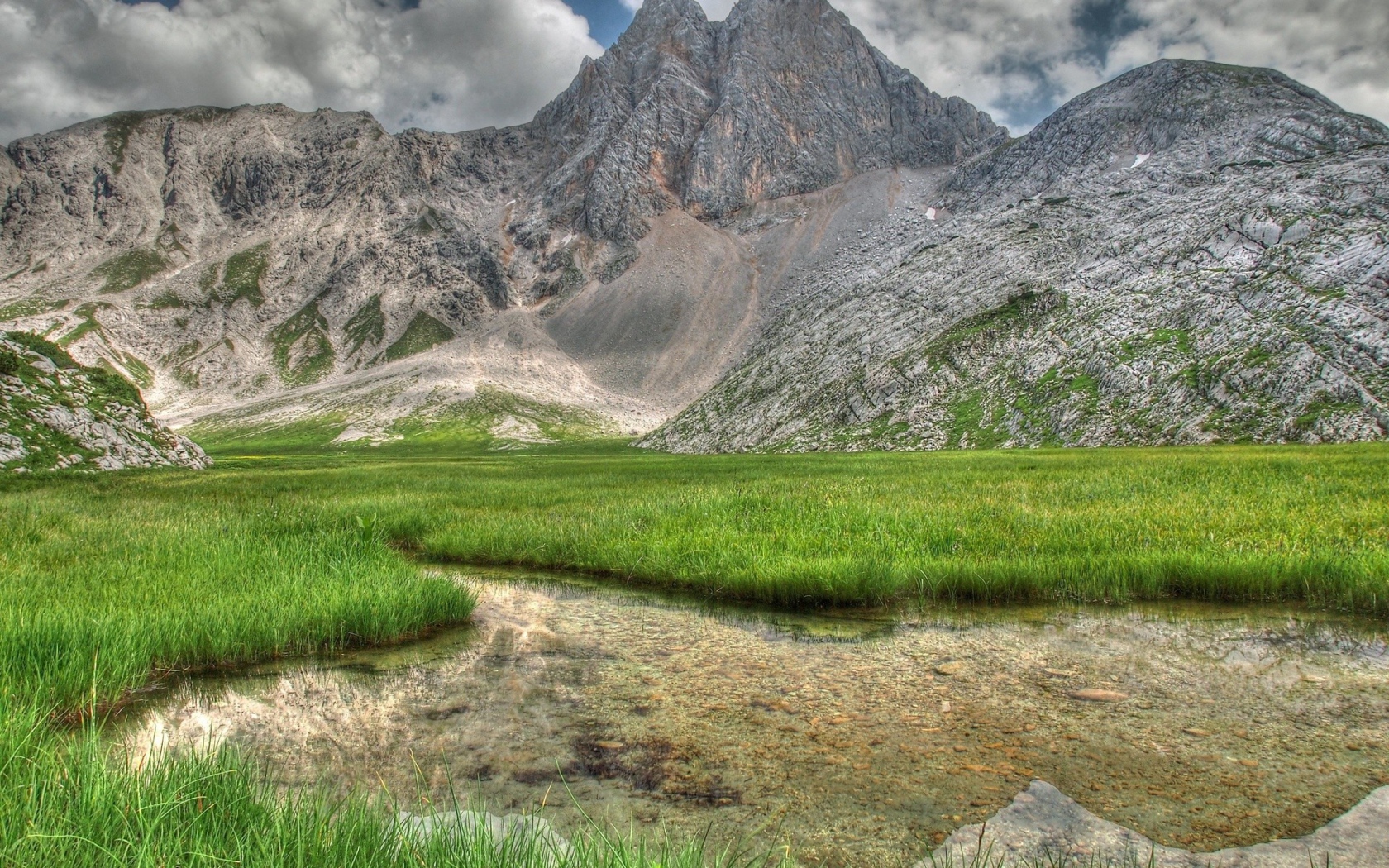 Заросшее травой озеро