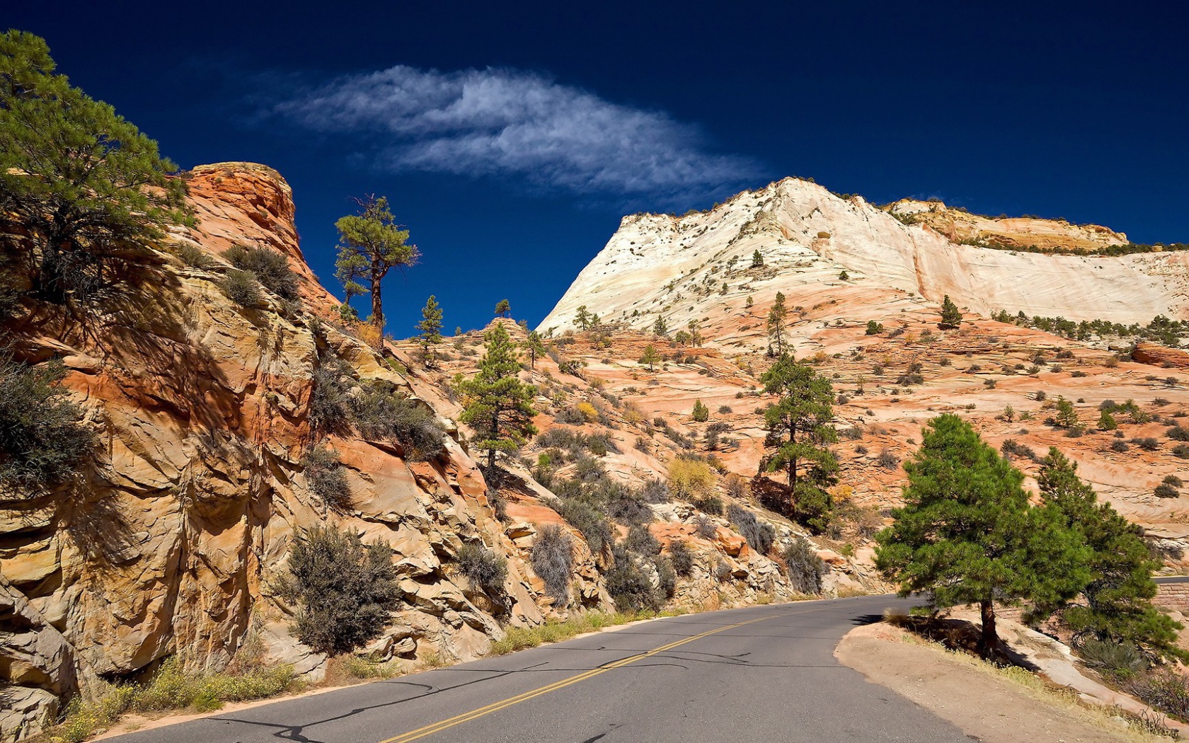 Дорога в желтых горах