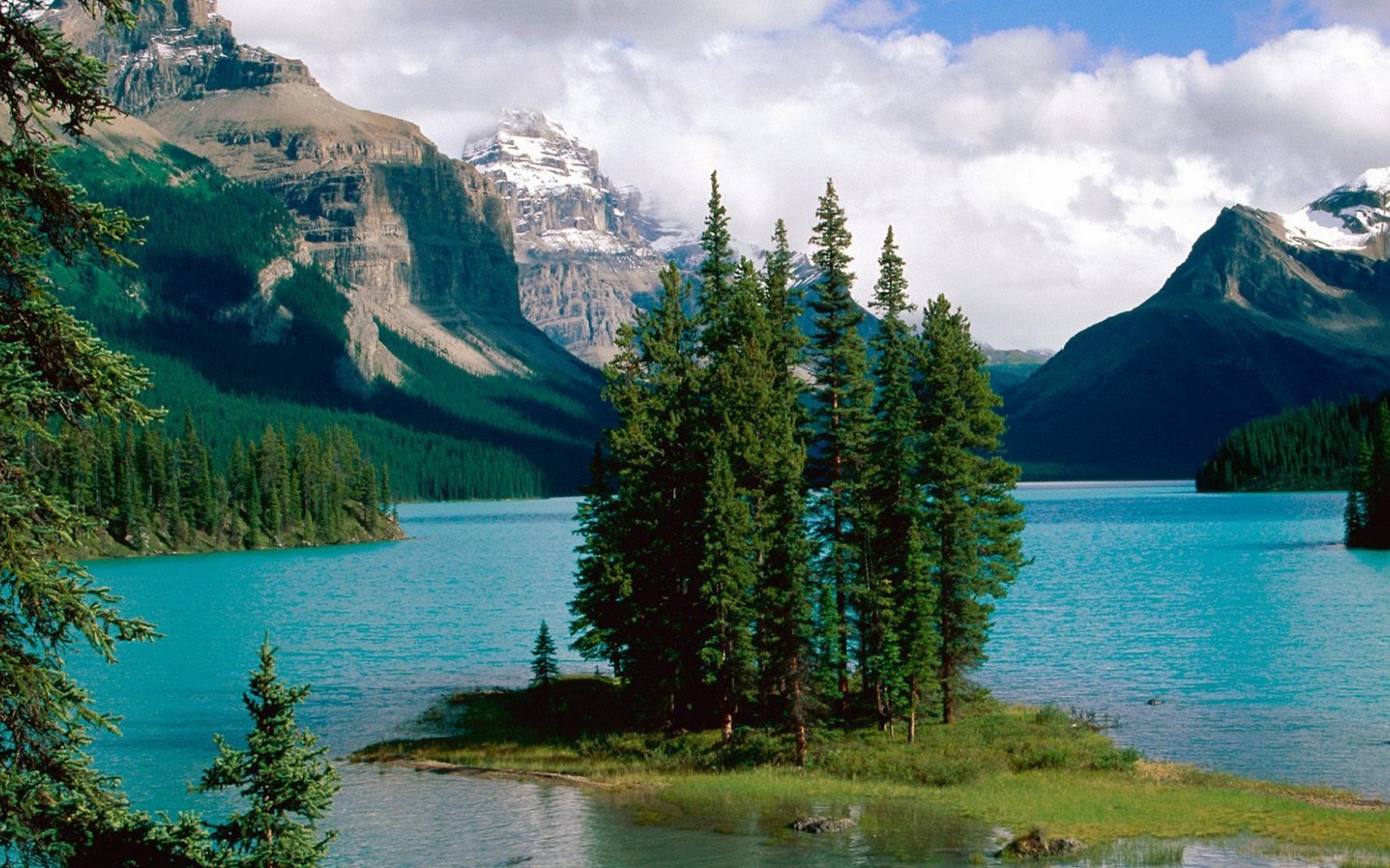 Остров с деревьями на озере