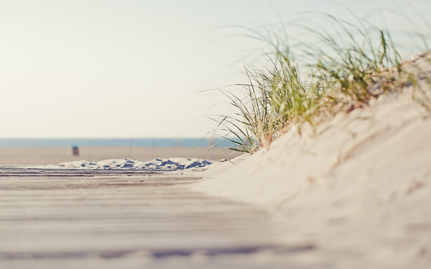 Трава на пляже