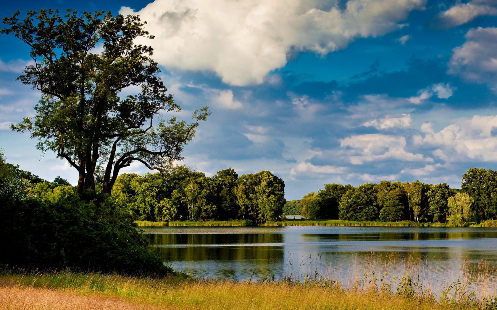 Озеро среди лугов